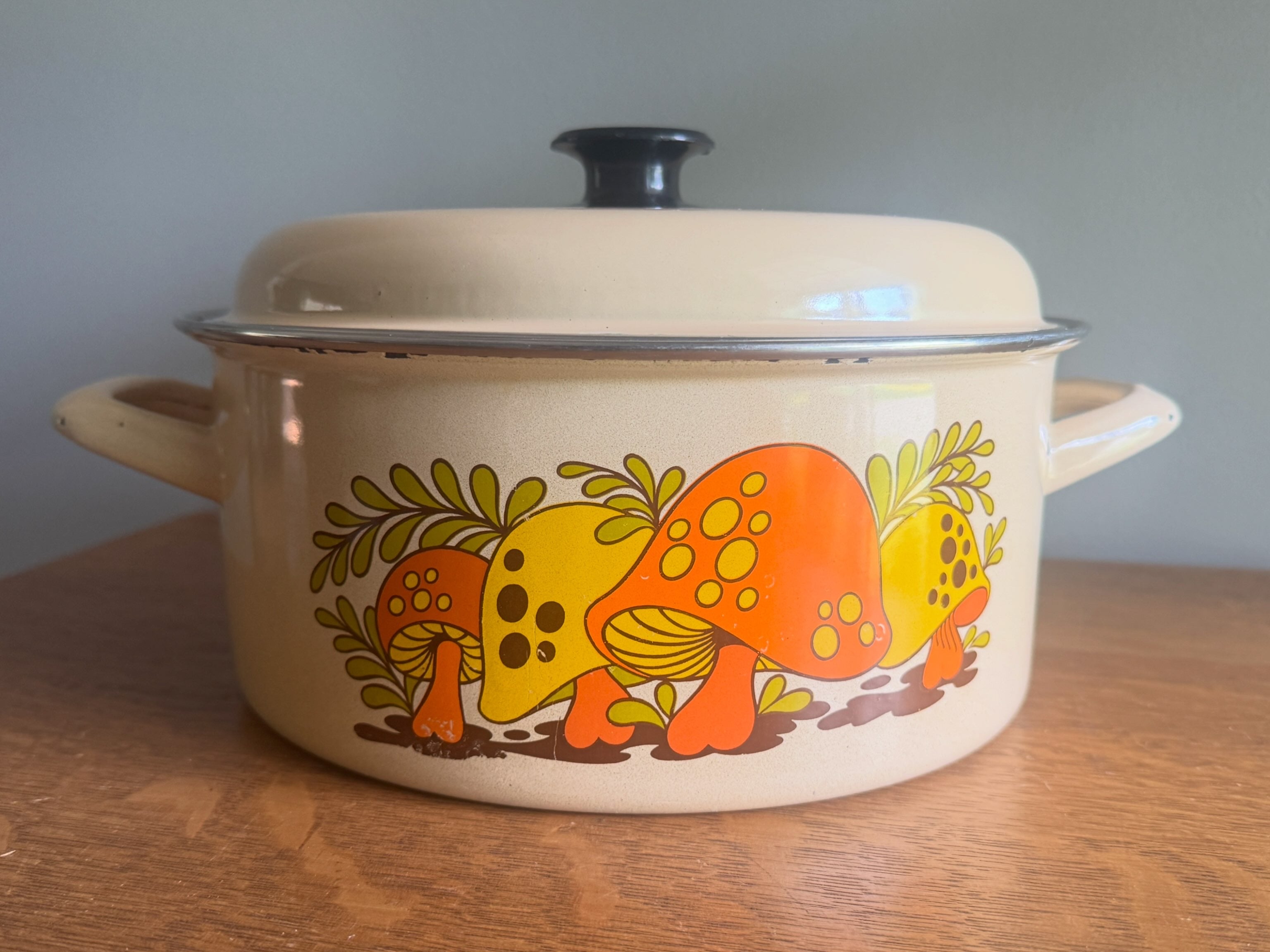 70's Sears Merry Mushroom Enamel 10" Stock Pot ~ Mushroom Enamelware Dutch Oven