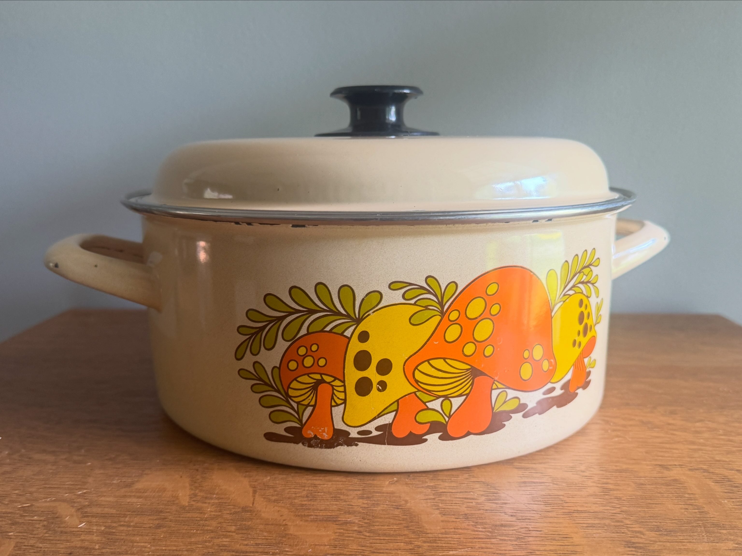 70's Sears Merry Mushroom Enamel 10" Stock Pot ~ Mushroom Enamelware Dutch Oven