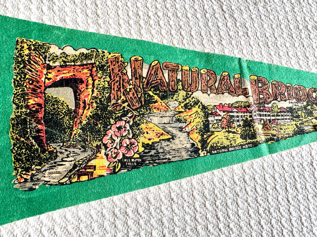 A Lot of 4 Vintage Felt Pennants ~ Natural Bridge, Miami Beach, National Zoological Park Pennants