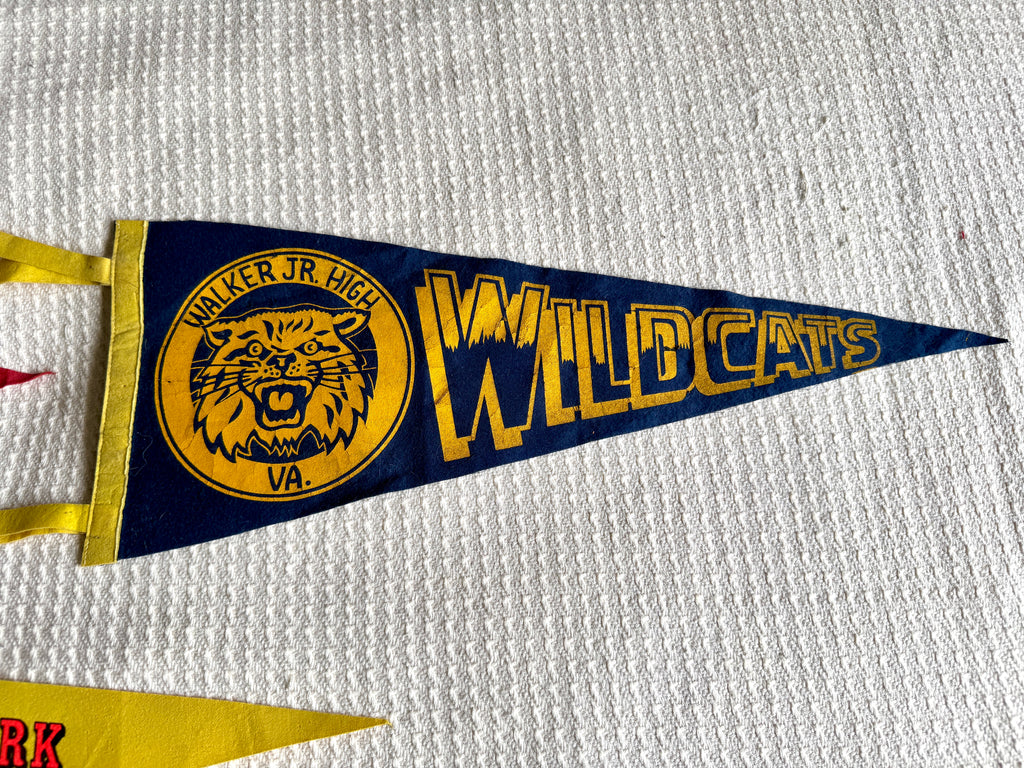 A Lot of 4 Vintage Felt Pennants ~ Natural Bridge, Miami Beach, National Zoological Park Pennants
