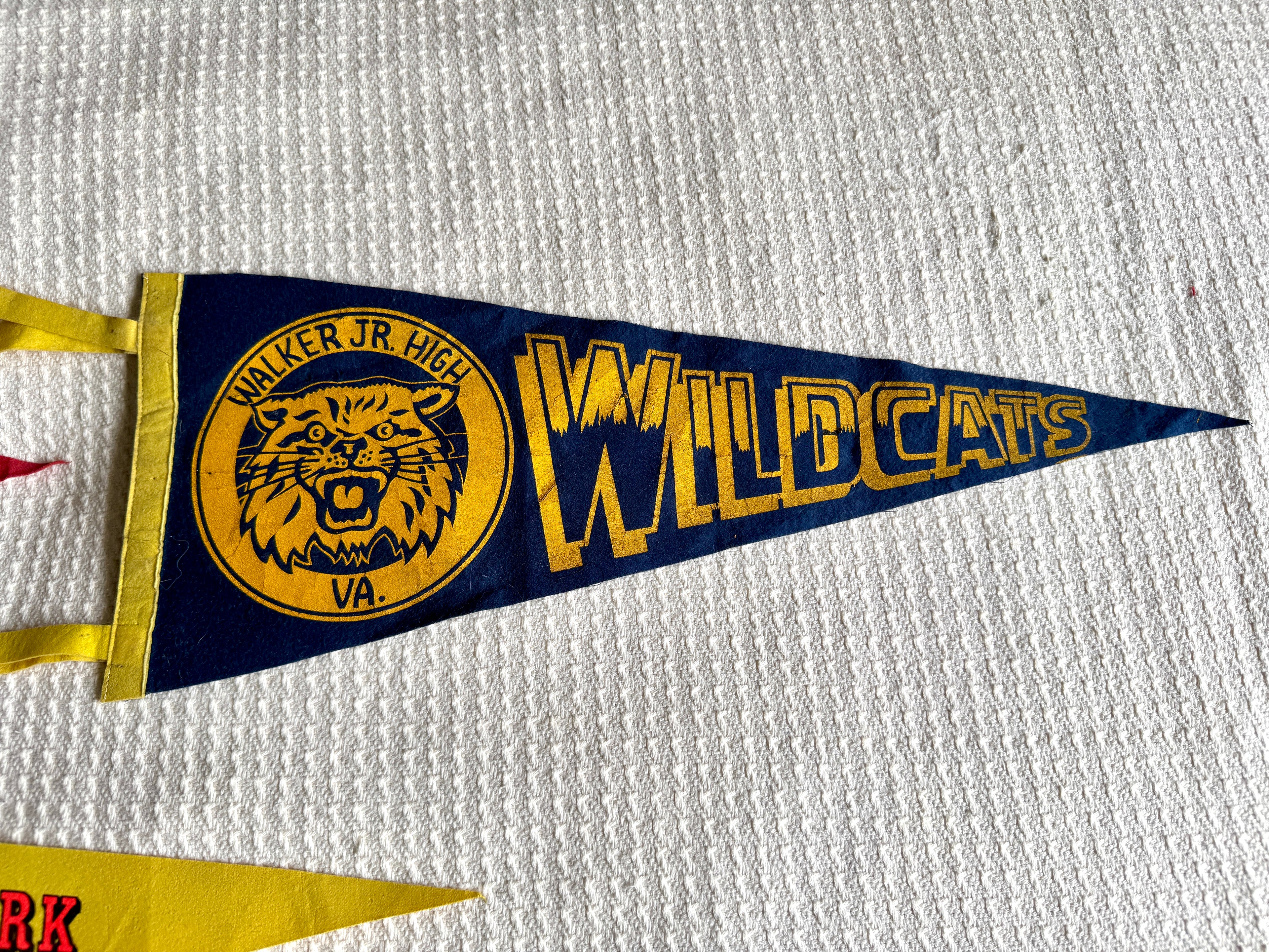 A Lot of 4 Vintage Felt Pennants ~ Natural Bridge, Miami Beach, National Zoological Park Pennants