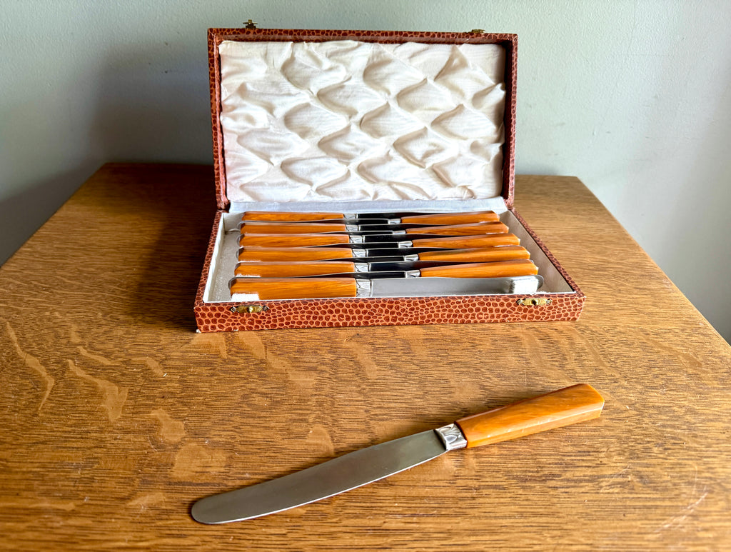 Mid Century Set of 12 Butterscotch Bakelite Handle Knifes in Faux Reptile Skin Case