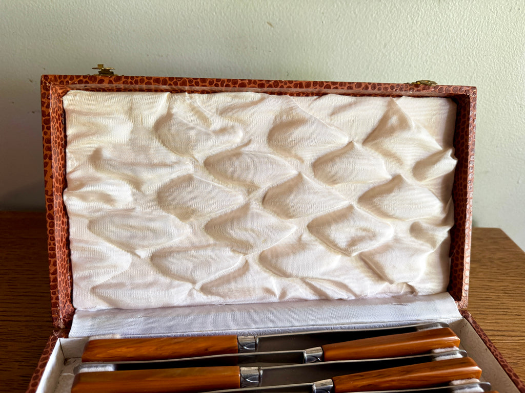 Mid Century Set of 12 Butterscotch Bakelite Handle Knifes in Faux Reptile Skin Case