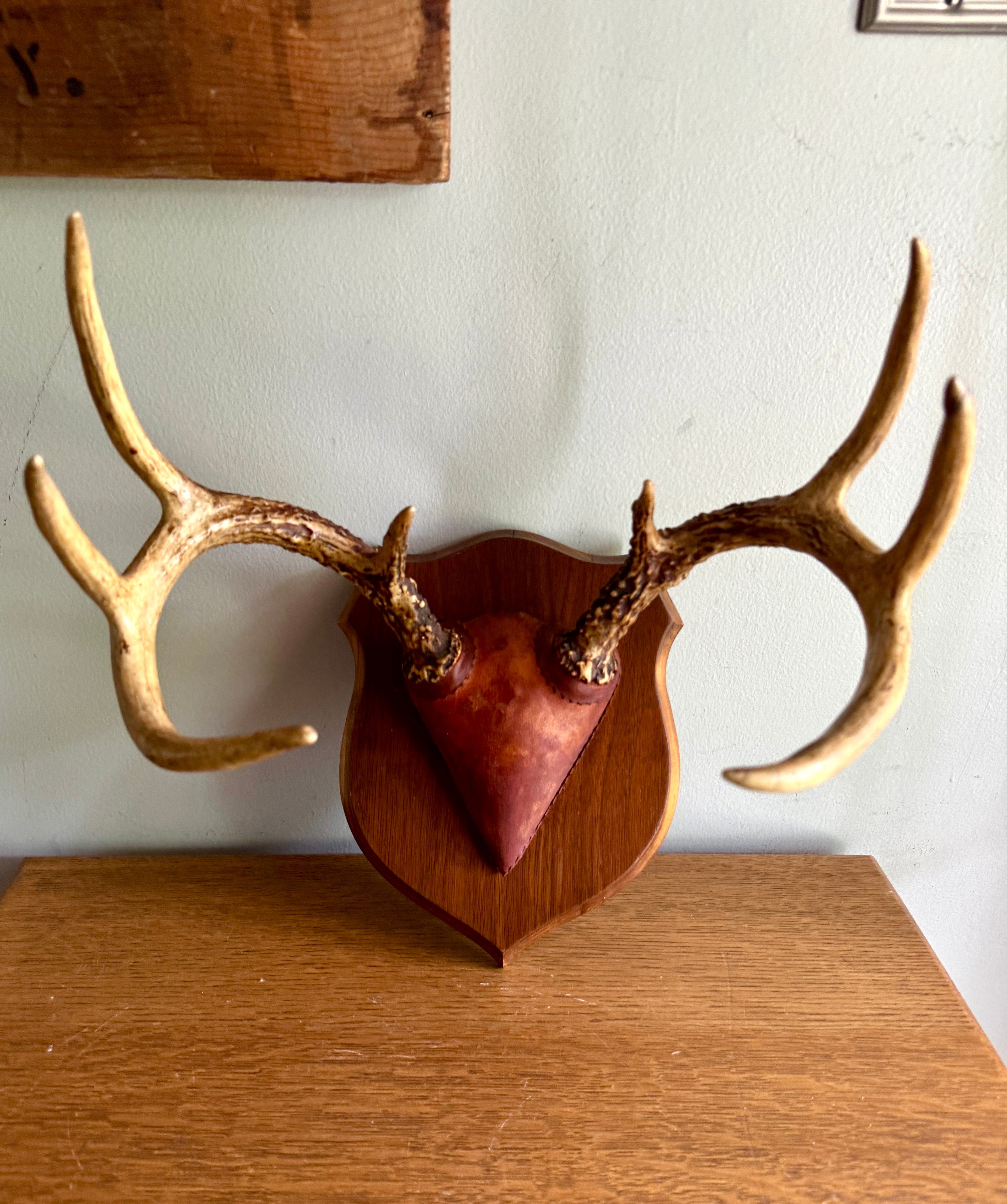 Vintage Deer Antler Wall Mount ~ 8 Point Antler Mounted with Leather and on Wood Plaque