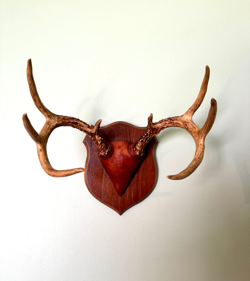 Vintage Deer Antler Wall Mount ~ 8 Point Antler Mounted with Leather and on Wood Plaque