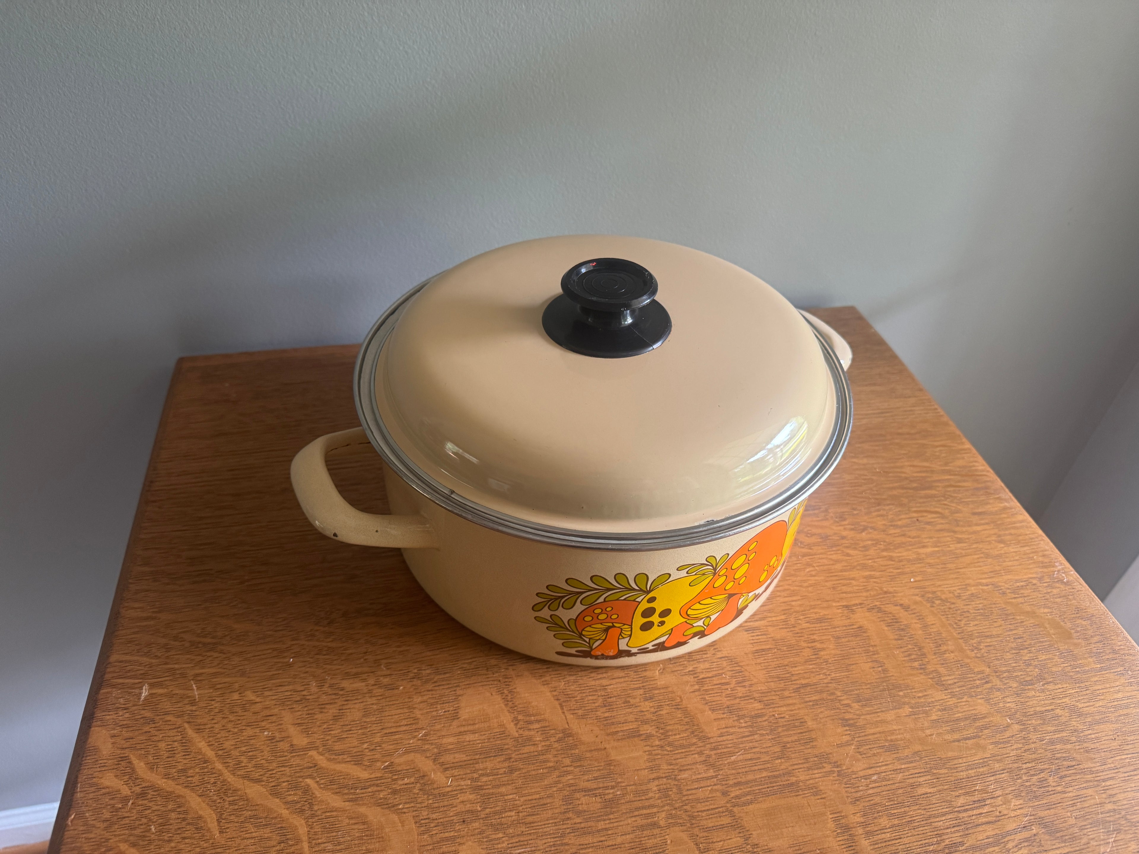 70's Sears Merry Mushroom Enamel 10" Stock Pot ~ Mushroom Enamelware Dutch Oven