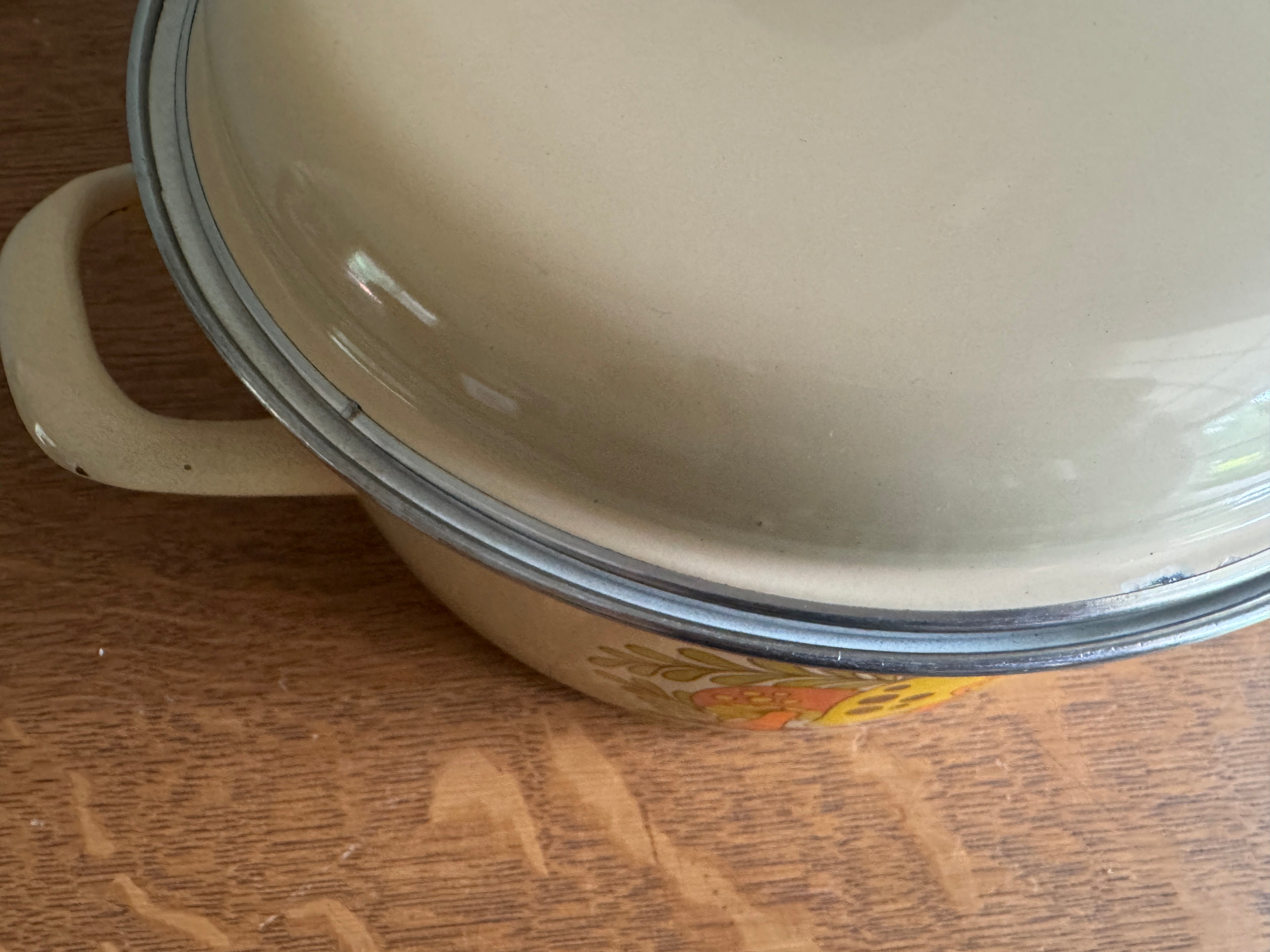70's Sears Merry Mushroom Enamel 10" Stock Pot ~ Mushroom Enamelware Dutch Oven