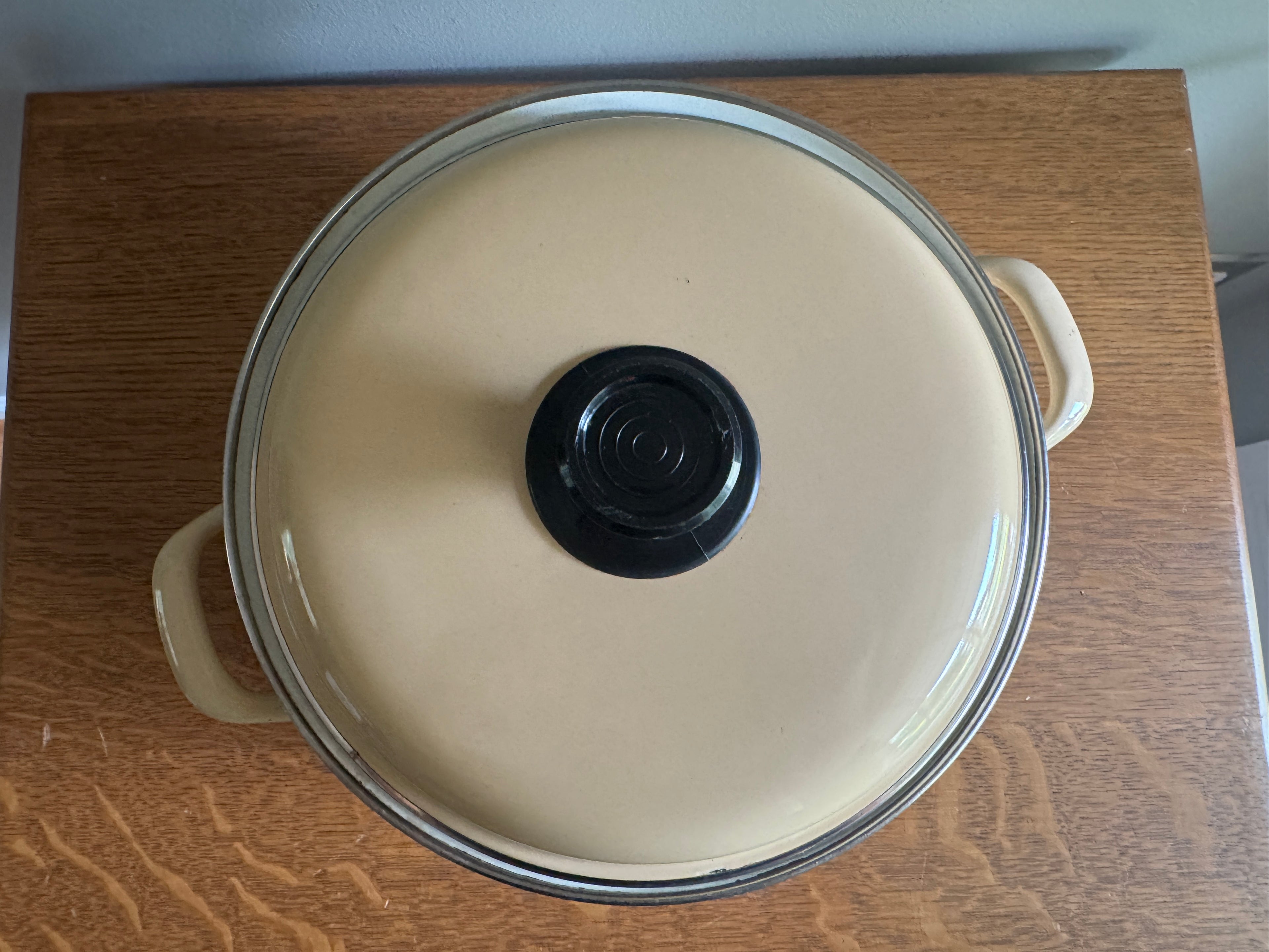 70's Sears Merry Mushroom Enamel 10" Stock Pot ~ Mushroom Enamelware Dutch Oven
