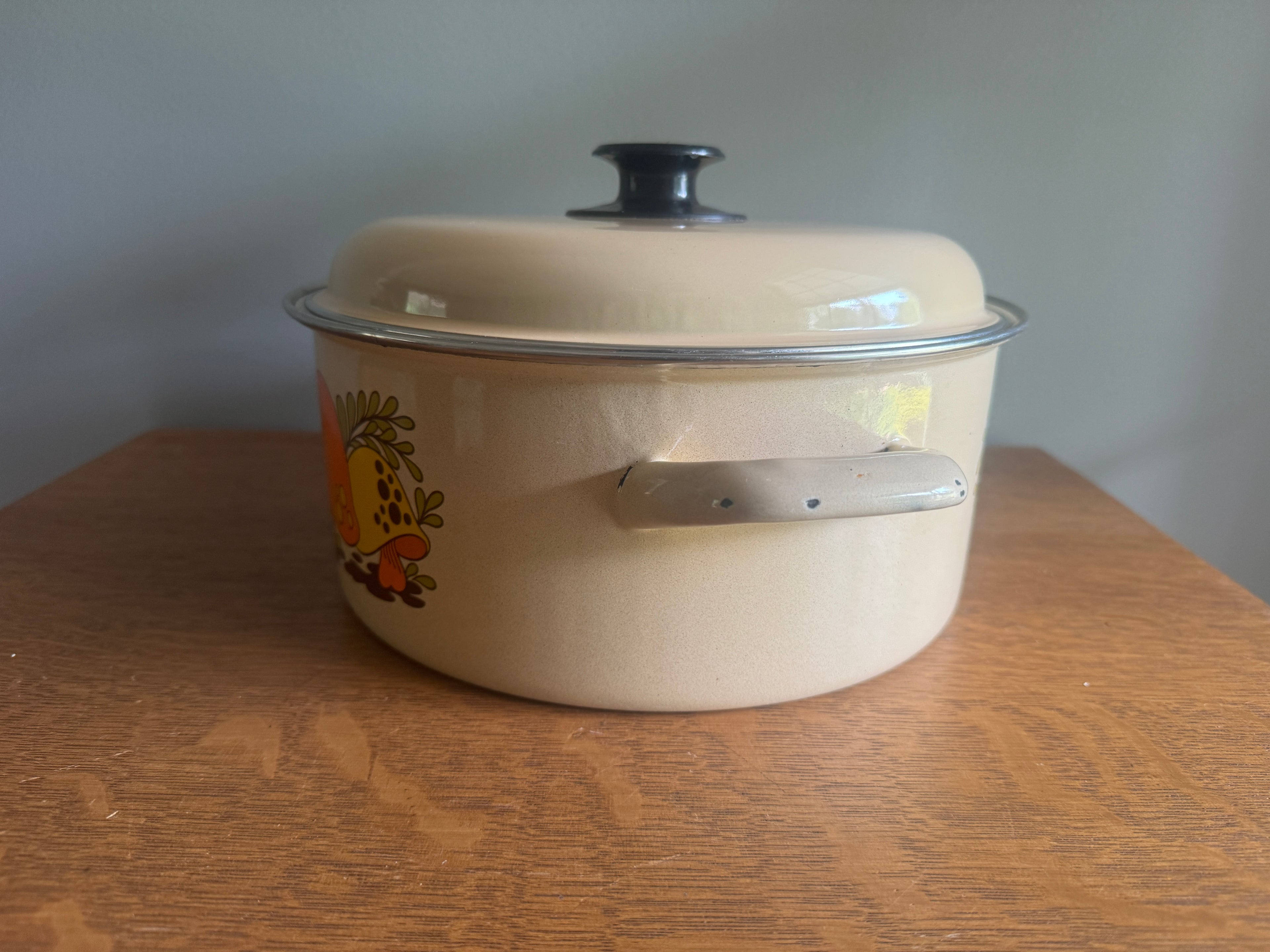 70's Sears Merry Mushroom Enamel 10" Stock Pot ~ Mushroom Enamelware Dutch Oven