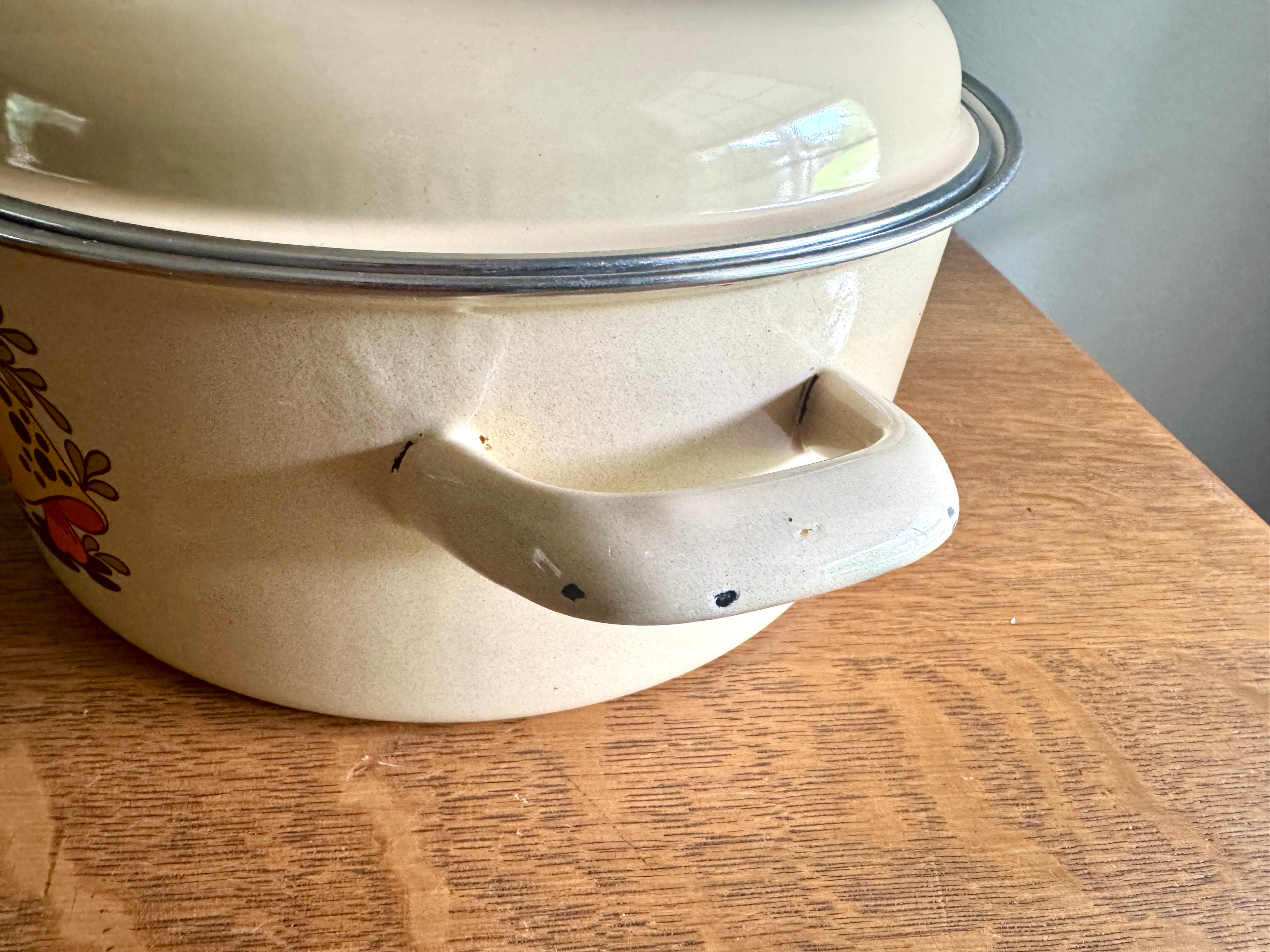 70's Sears Merry Mushroom Enamel 10" Stock Pot ~ Mushroom Enamelware Dutch Oven
