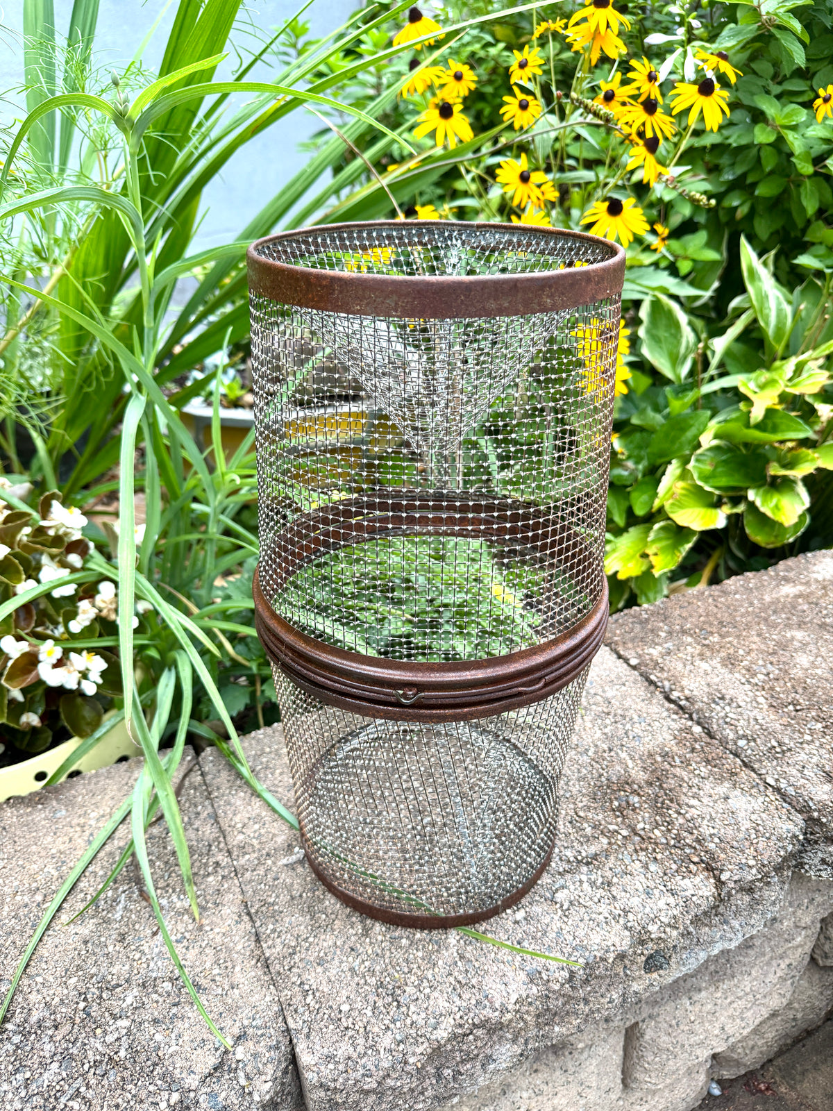 Vintage Galvanized Wire Minnow Trap ~ Rustic Lake House Decor ~ Rustic Minnow Trap