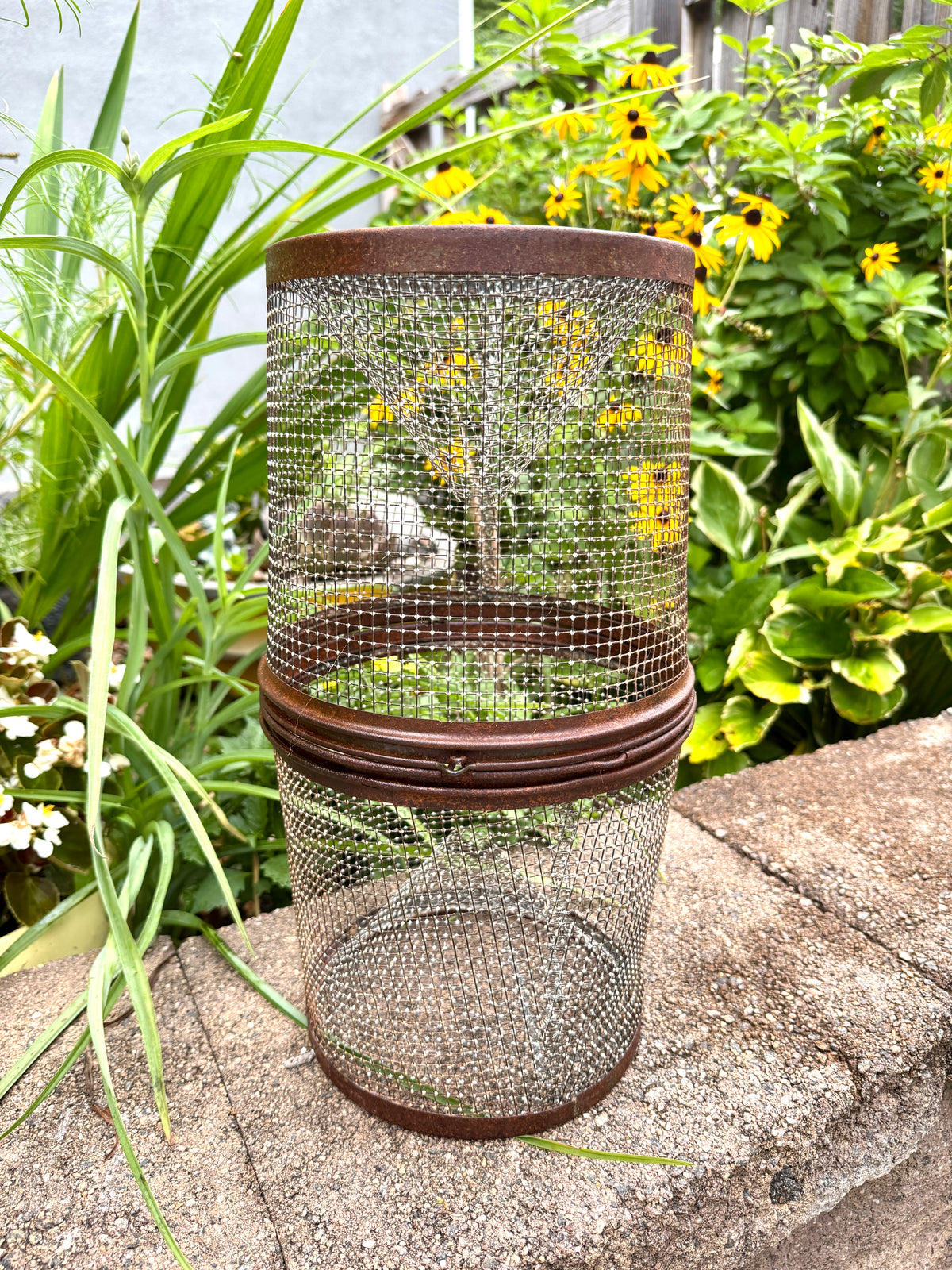 Vintage Galvanized Wire Minnow Trap ~ Rustic Lake House Decor ~ Rustic Minnow Trap