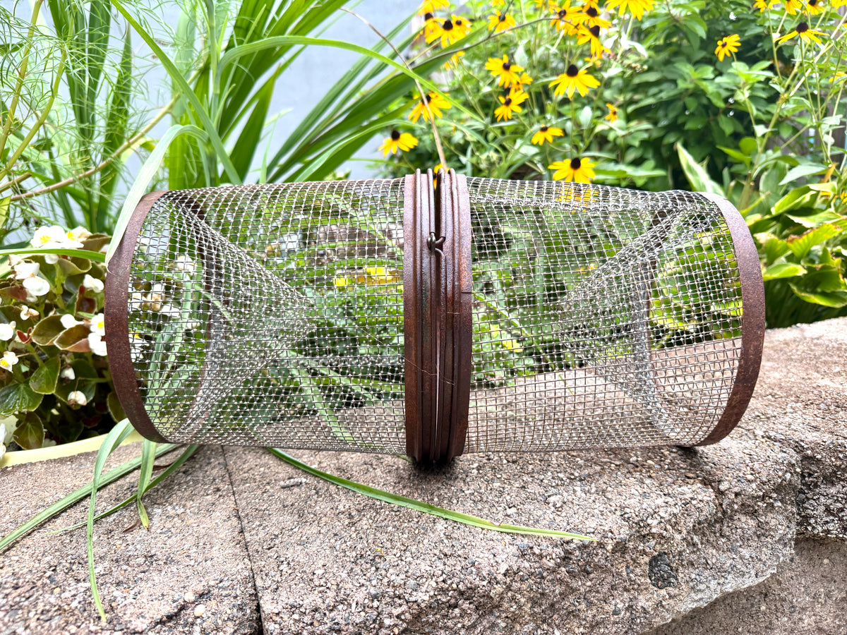 Vintage Galvanized Wire Minnow Trap ~ Rustic Lake House Decor ~ Rustic Minnow Trap