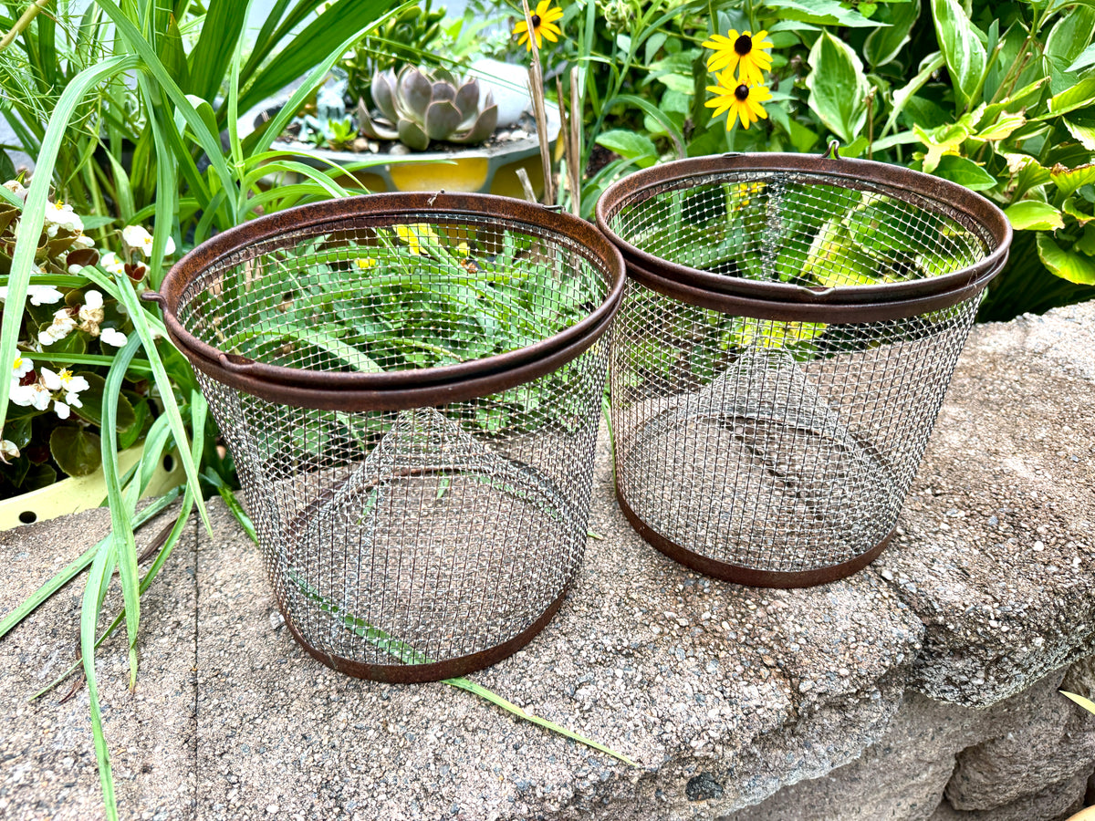 Vintage Galvanized Wire Minnow Trap ~ Rustic Lake House Decor ~ Rustic Minnow Trap