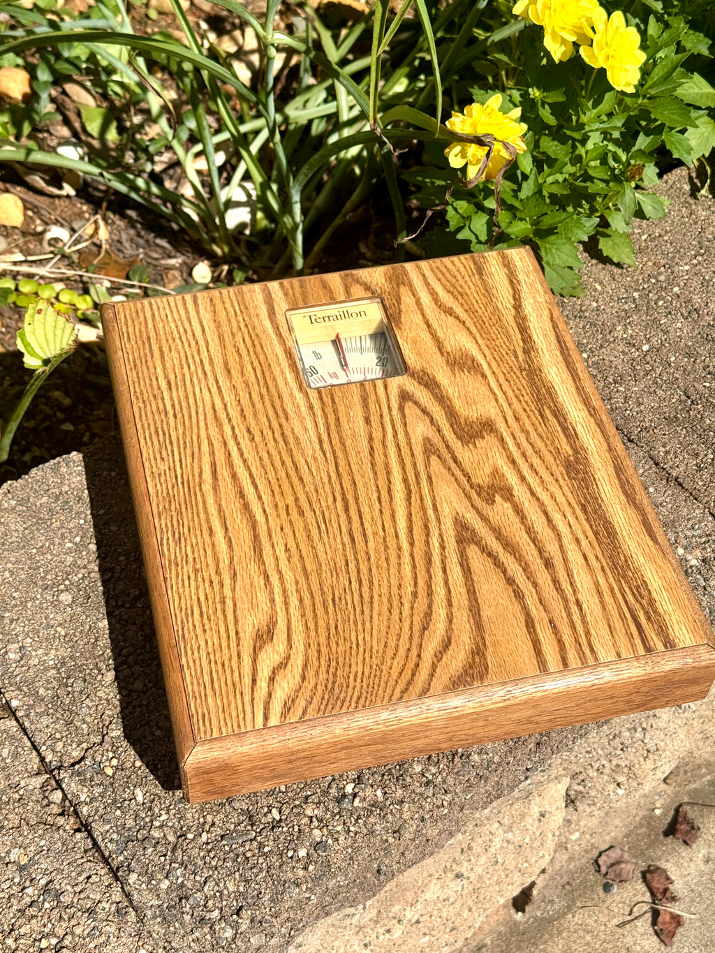 Vtg Mechanical Wooden-Finish Bathroom Scale made by Terraillon in France ~ MCM Bathroom Scale
