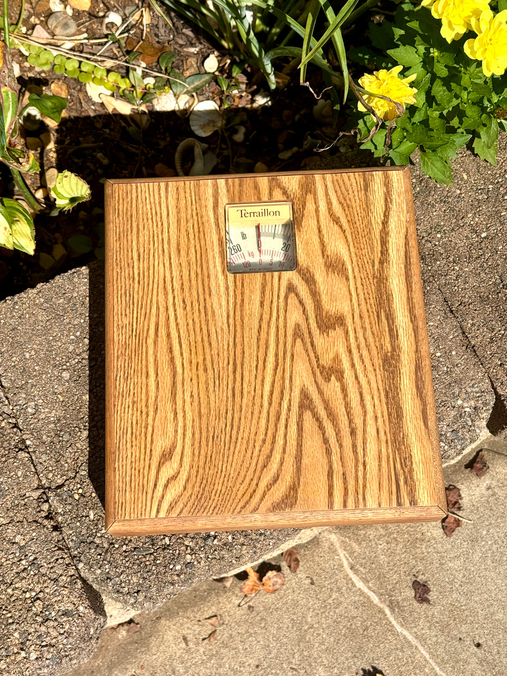 Vtg Mechanical Wooden-Finish Bathroom Scale made by Terraillon in France ~ MCM Bathroom Scale