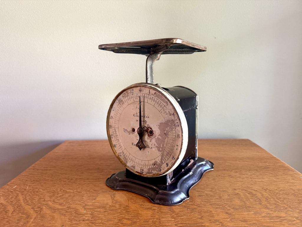 Antique Distressed Columbia 24 Lb Family Scale ~ Rustic Countertop Kitchen Scale
