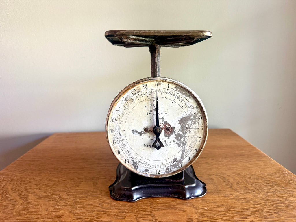 Antique Distressed Columbia 24 Lb Family Scale ~ Rustic Countertop Kitchen Scale