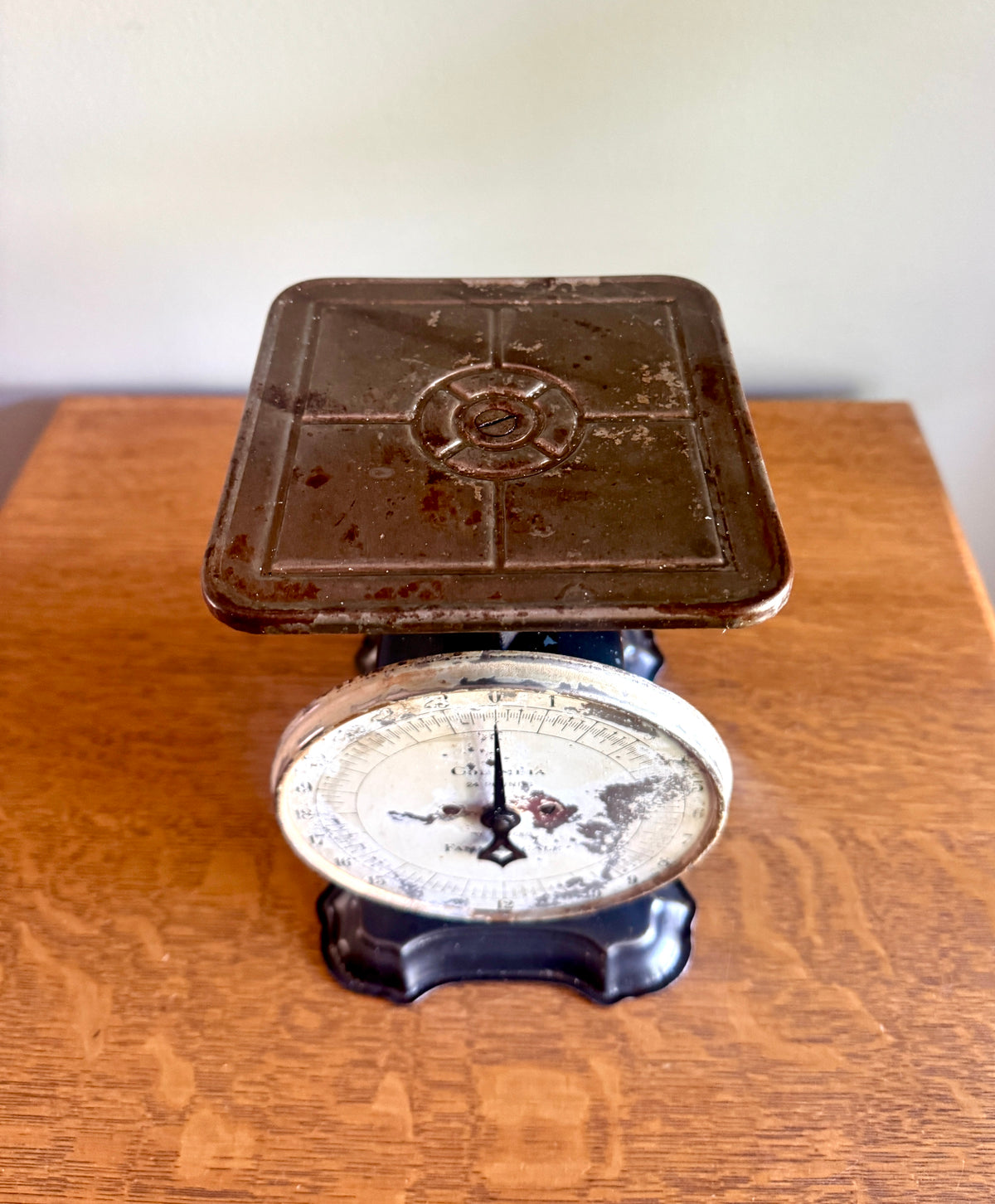 Antique Distressed Columbia 24 Lb Family Scale ~ Rustic Countertop Kitchen Scale