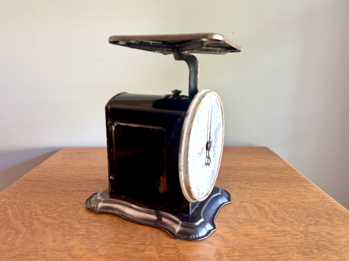 Antique Distressed Columbia 24 Lb Family Scale ~ Rustic Countertop Kitchen Scale