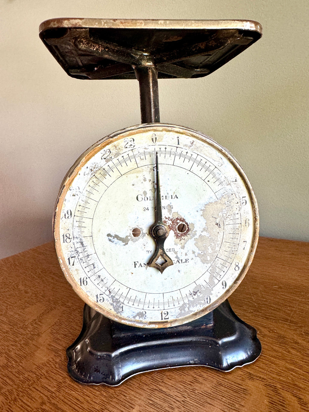 Antique Distressed Columbia 24 Lb Family Scale ~ Rustic Countertop Kitchen Scale