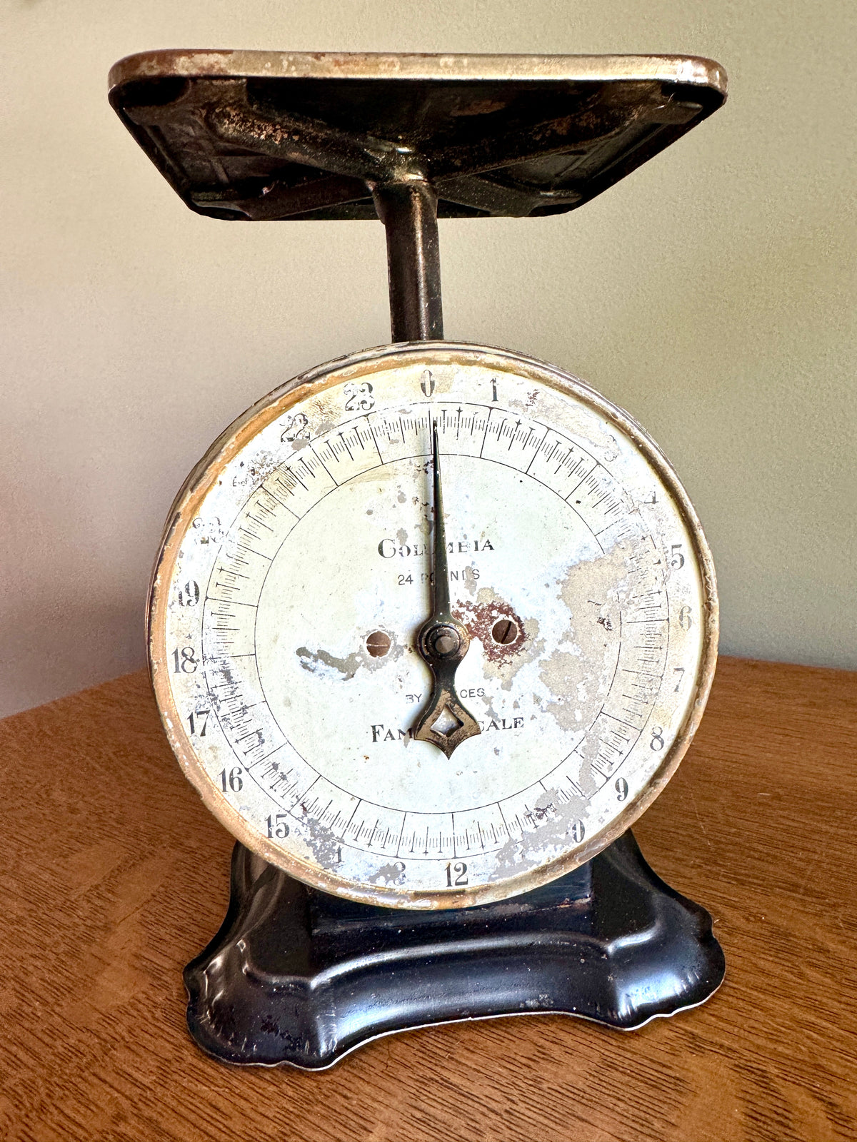 Antique Distressed Columbia 24 Lb Family Scale ~ Rustic Countertop Kitchen Scale