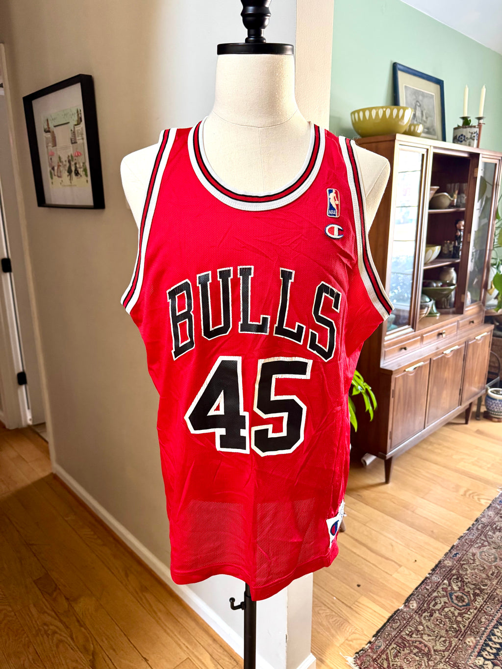 Vtg Michael Jordan #45 Chicago Bulls Champion Jersey Sz. 48