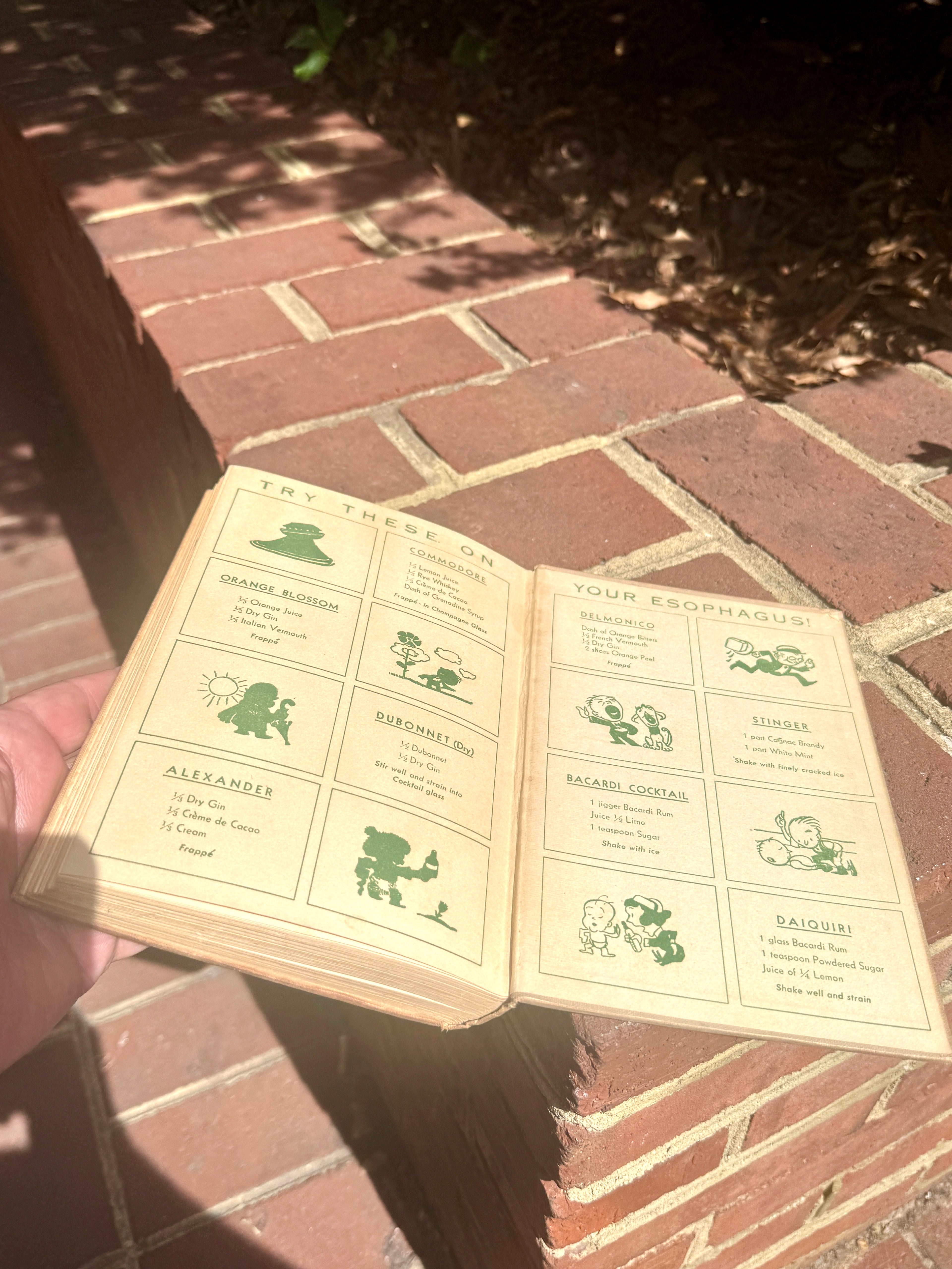 1930's "The Bon Vivant's Companion Or How To Mix Drinks" by Professor Jerry Thomas & Herbert Asbury