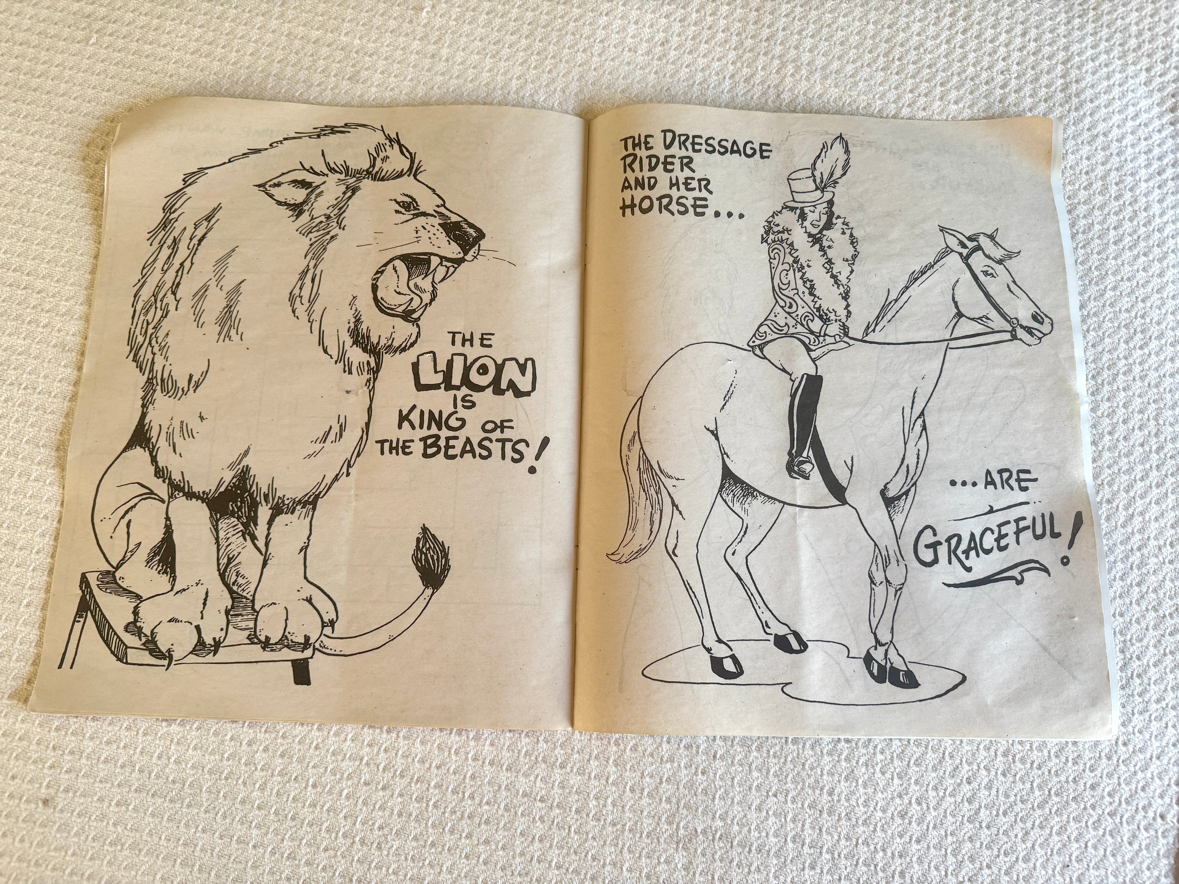 1970's-80's Ringling Bros Poster and Circus Coloring Book ~ Circus Lot