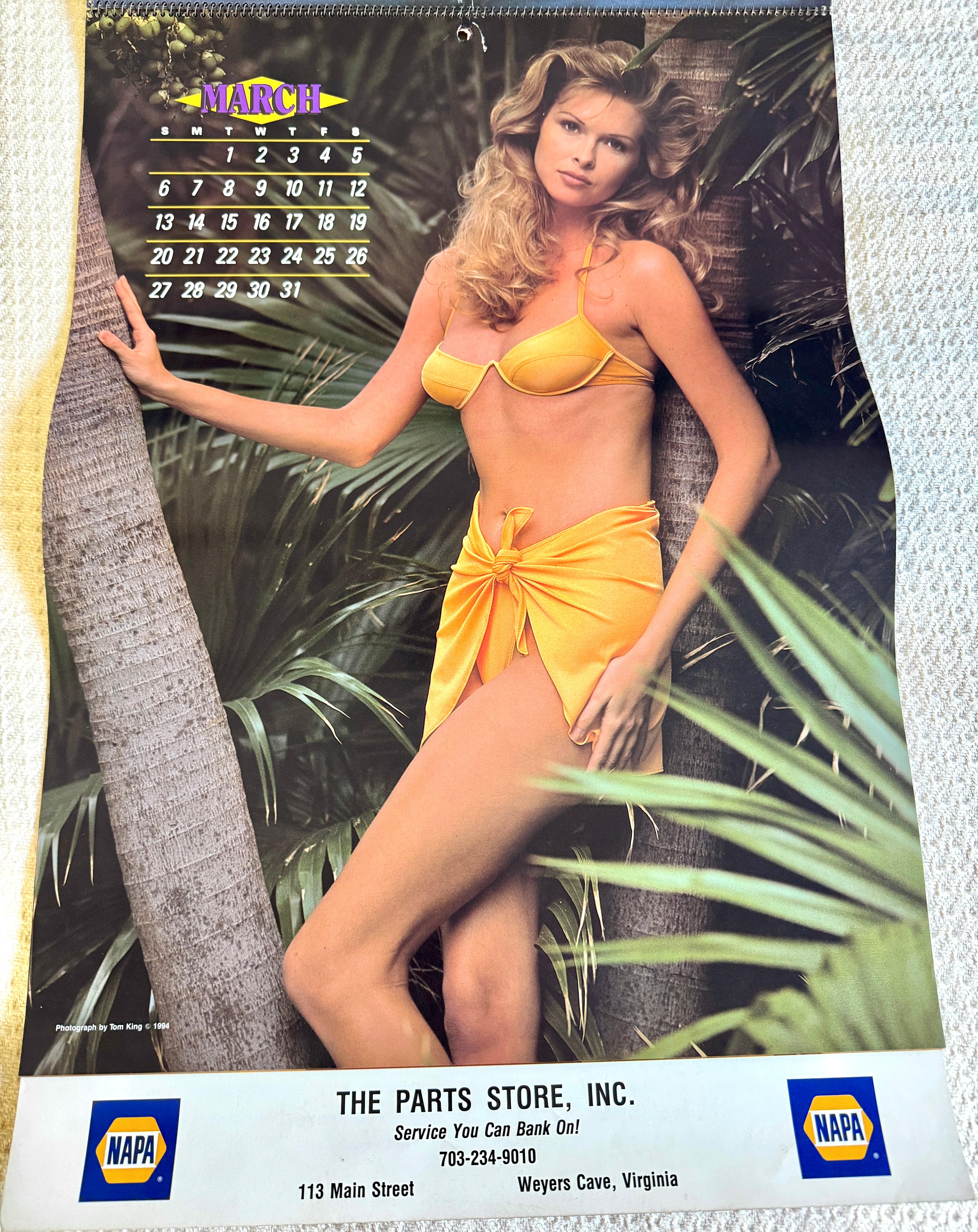1994 Miss Napa Swimsuit Calendar ~ Napa Auto Parts Swimsuit Calendar
