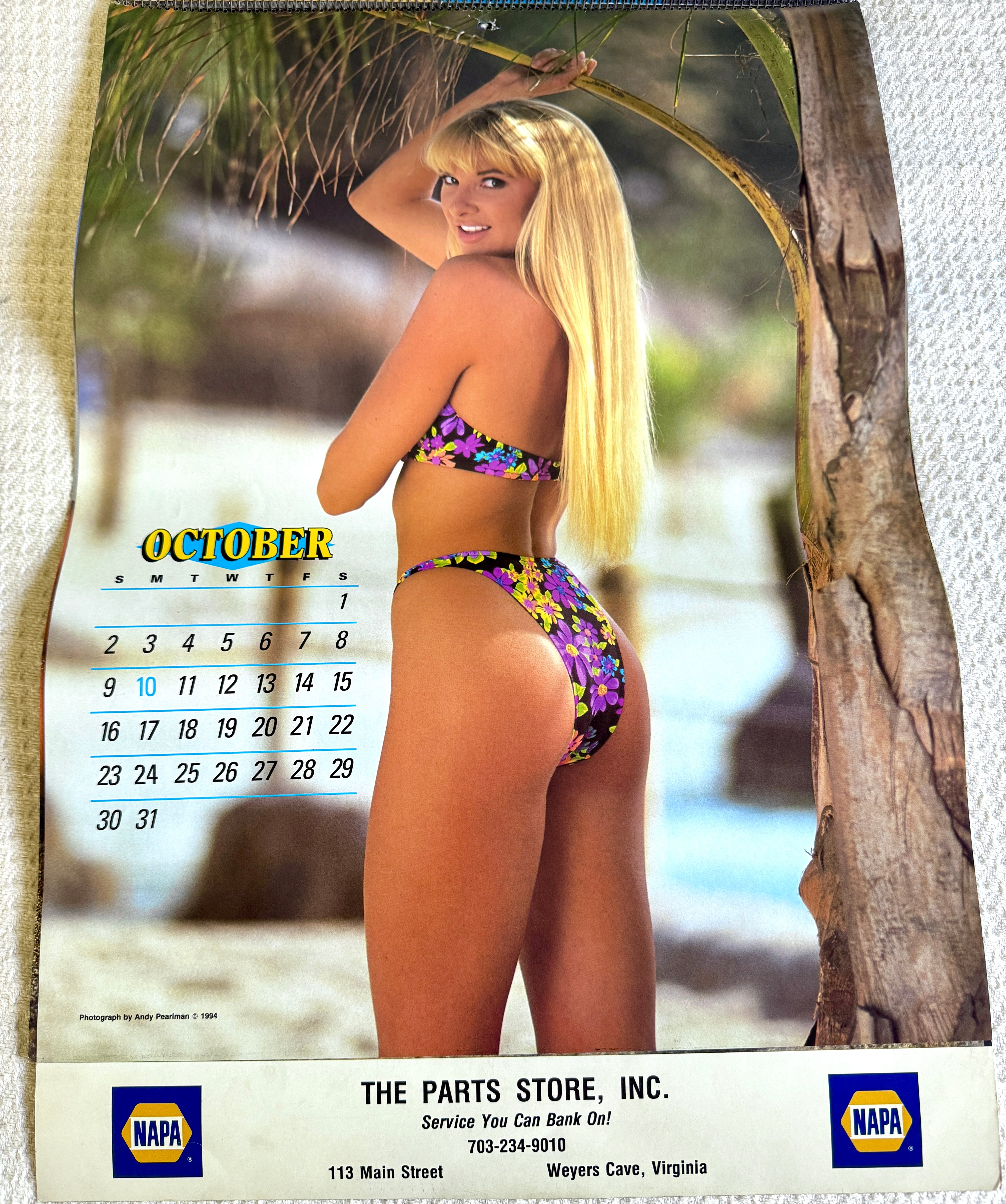 1994 Miss Napa Swimsuit Calendar ~ Napa Auto Parts Swimsuit Calendar