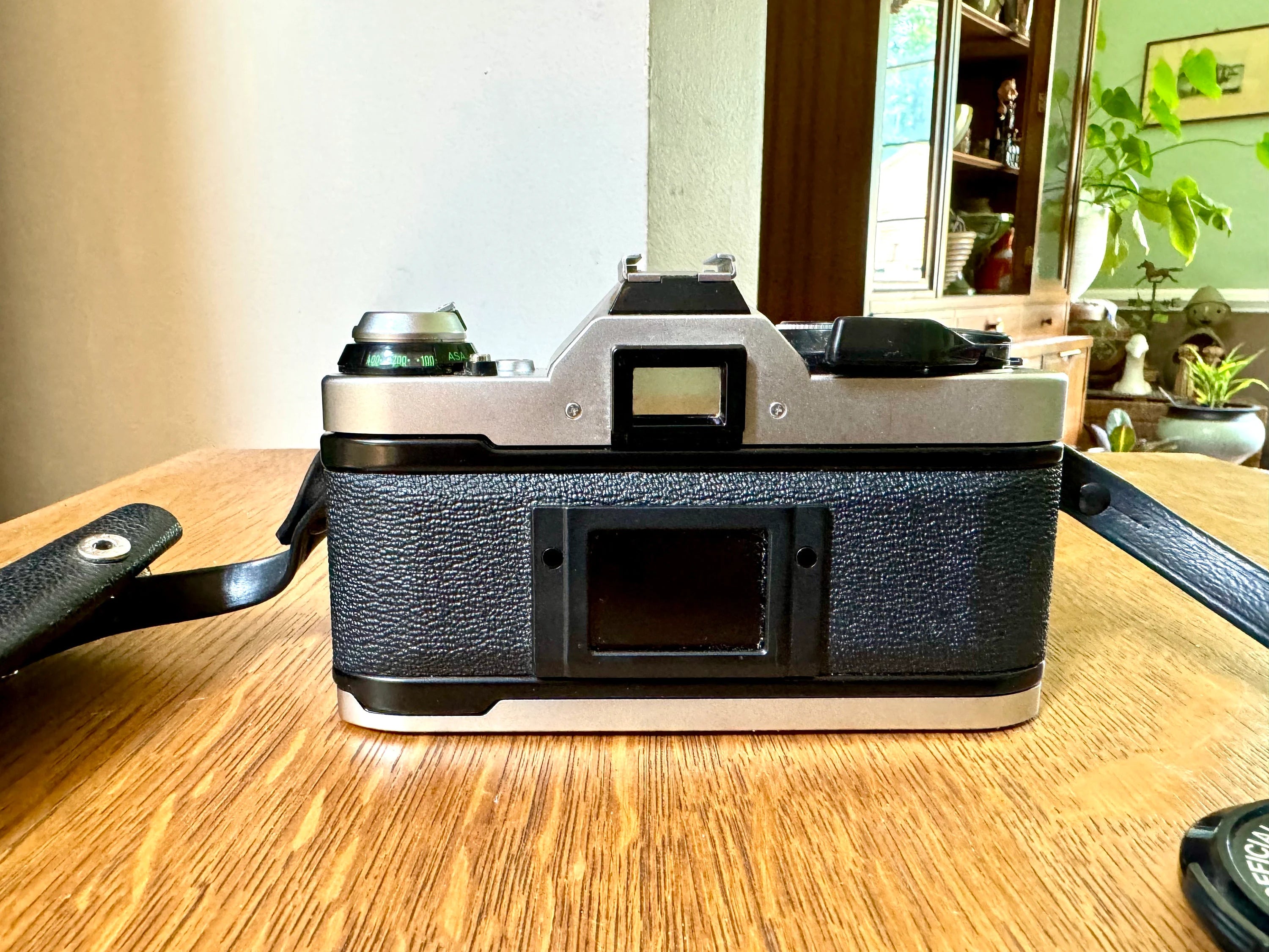 Vintage Canon AE-1 Program Camera | Canon AE1 Program 35MM Film Camera with Canon 50mm 1:1.4 Lens | 35mm Camera with Lens | Canon Camera