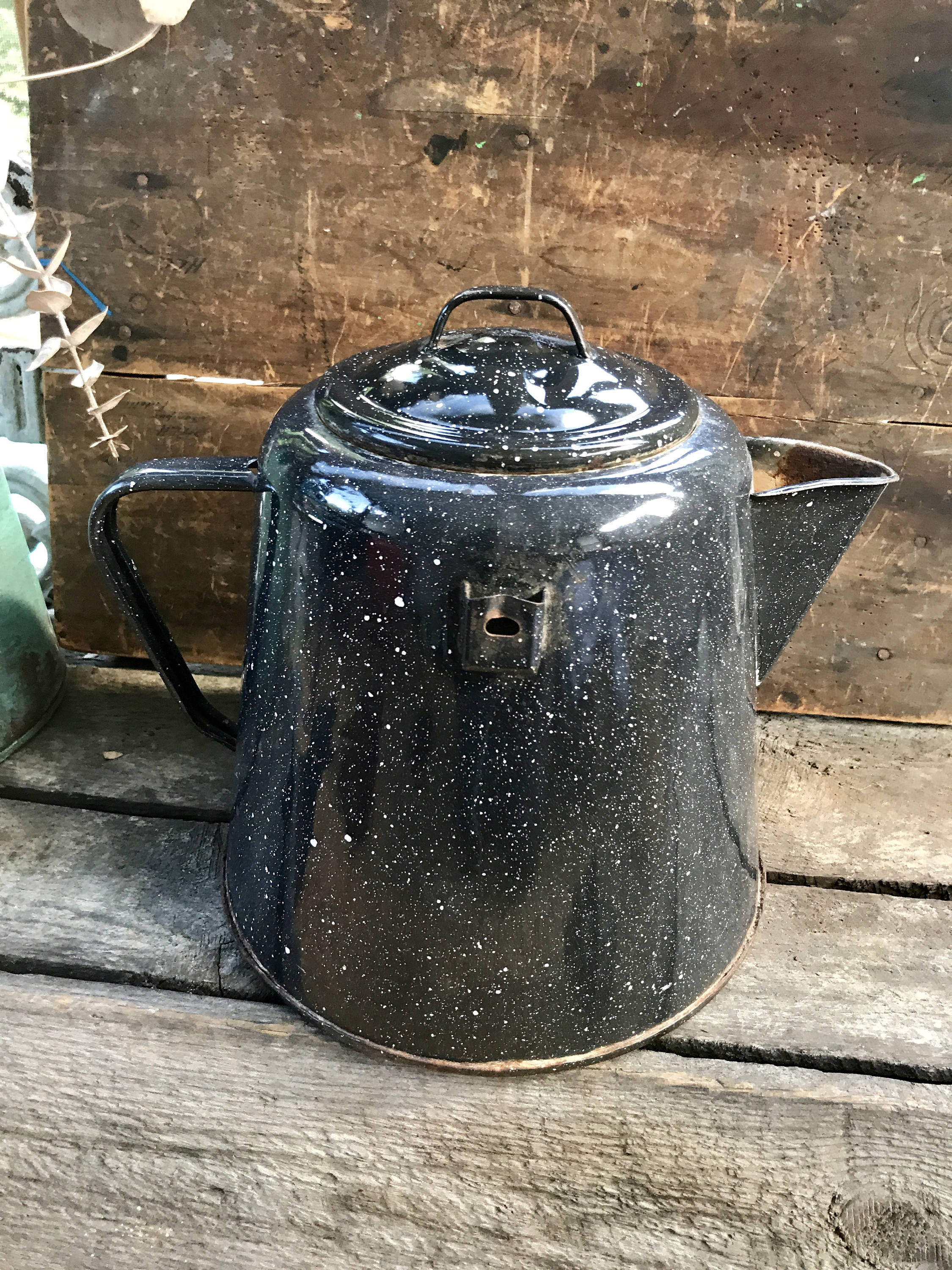 Rustic Graniteware Coffee Pot Planter | Vtg Rustic Plant Holder | Rustic Decor | Farmhouse Decor | Enamelware Planter | Western Decor