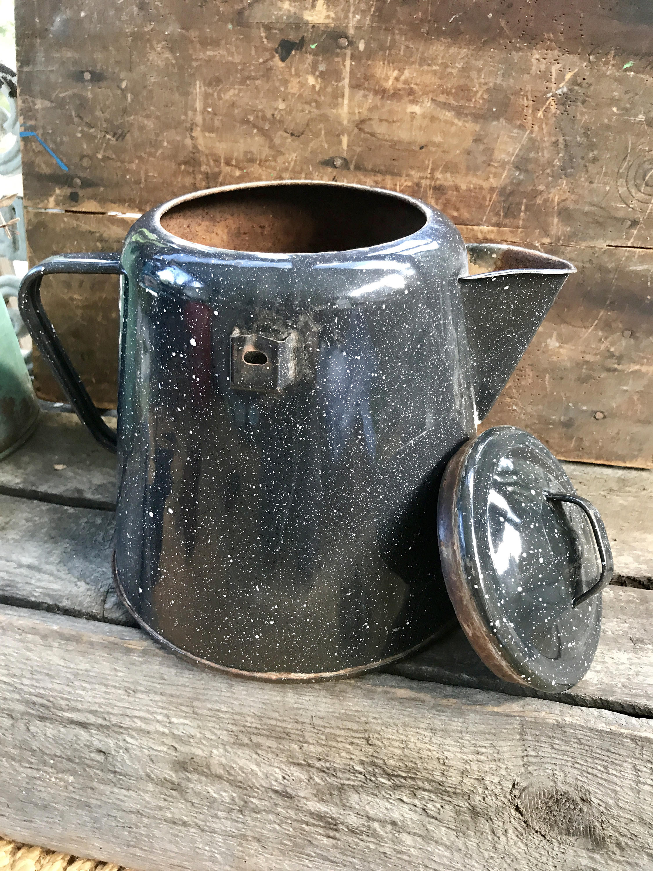 Rustic Graniteware Coffee Pot Planter | Vtg Rustic Plant Holder | Rustic Decor | Farmhouse Decor | Enamelware Planter | Western Decor