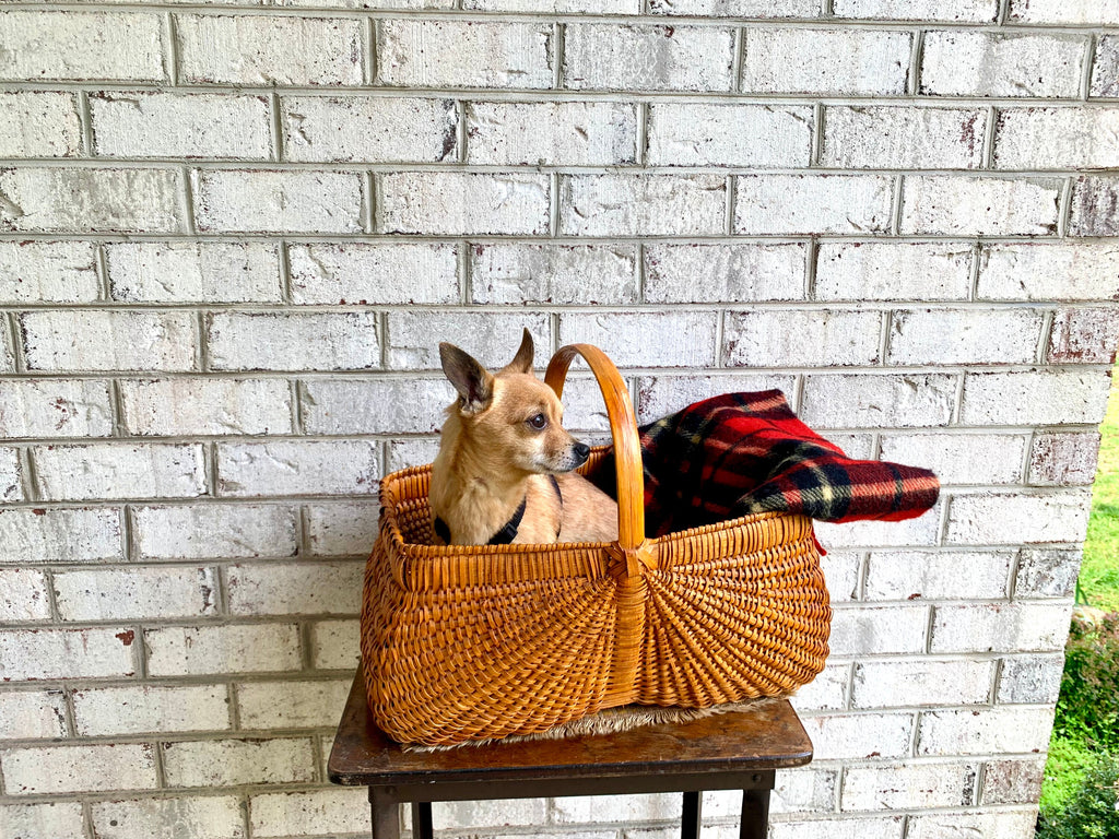 Vtg Wicker Basket With Handle | Wicker Gathering Basket | 80's Bohemian Basket l Rattan Basket | Woven Basket
