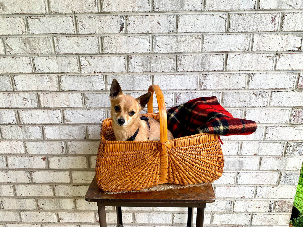 Vtg Wicker Basket With Handle | Wicker Gathering Basket | 80's Bohemian Basket l Rattan Basket | Woven Basket