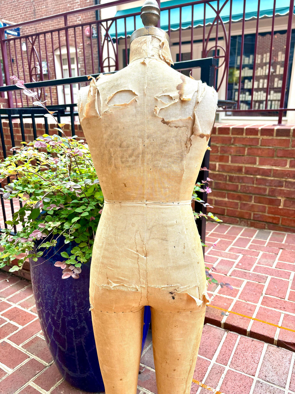 Vtg Distressed Wolf Dress Form | 1956 Pre-teen Dress Form | Hanging Dress Form | Seamstress Gift | Clothing Display | Wolf Model Form