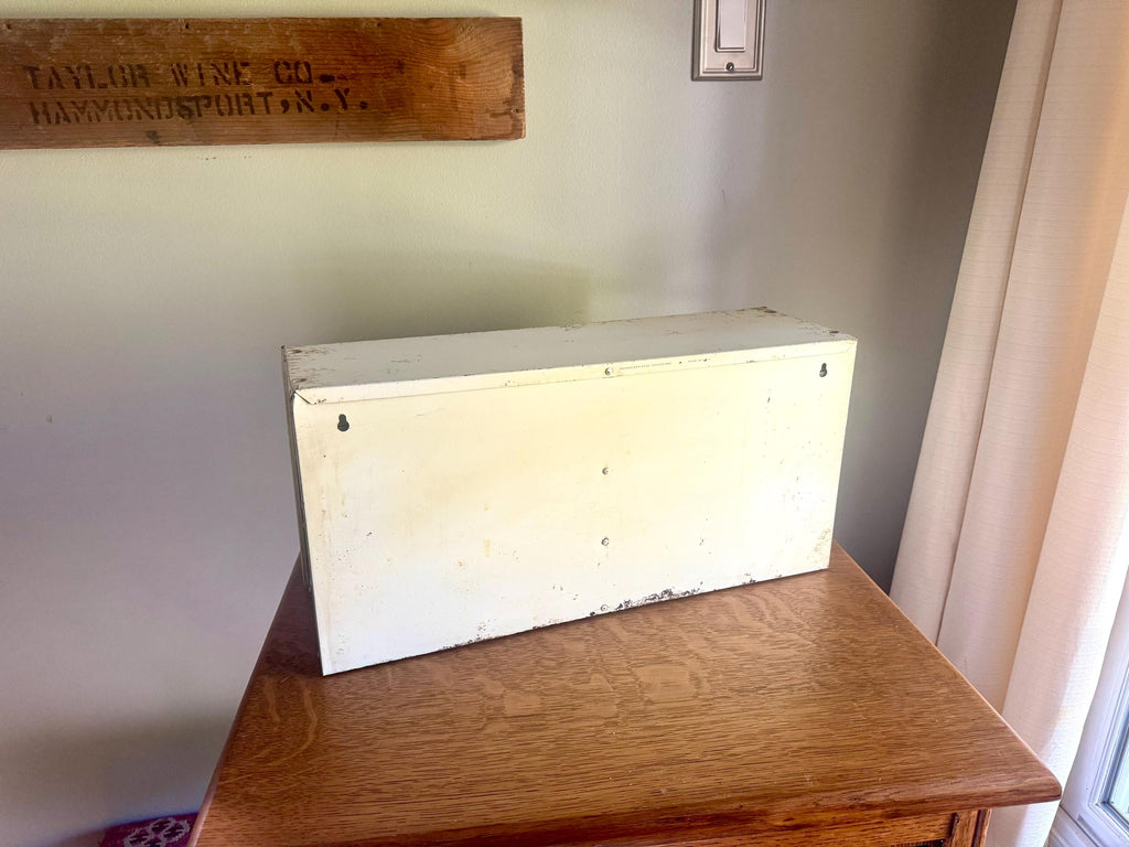 A Metal AC Delco Miniture Light Bulb Cabinet| GM Ac Delco Metal Parts Cabinet | Automotive Advertisement Bin | Vintage Automotive Lamp Cabinet