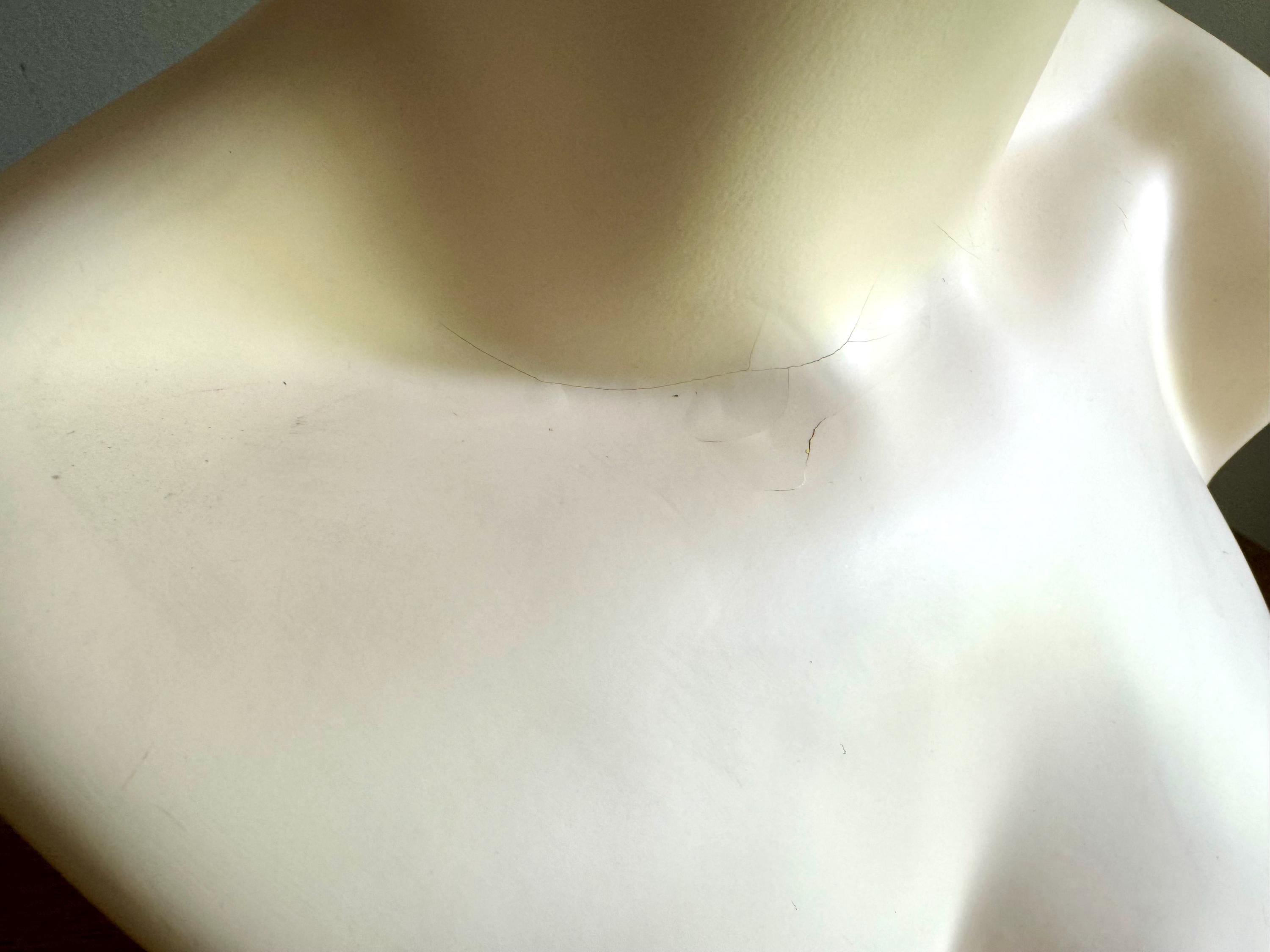 Vintage Estetica Designs Mannequin Head  | Hand Painted Mannequin Bust | Lady Mannequin Head Wig Display | Art Deco Mannequin Shop Display