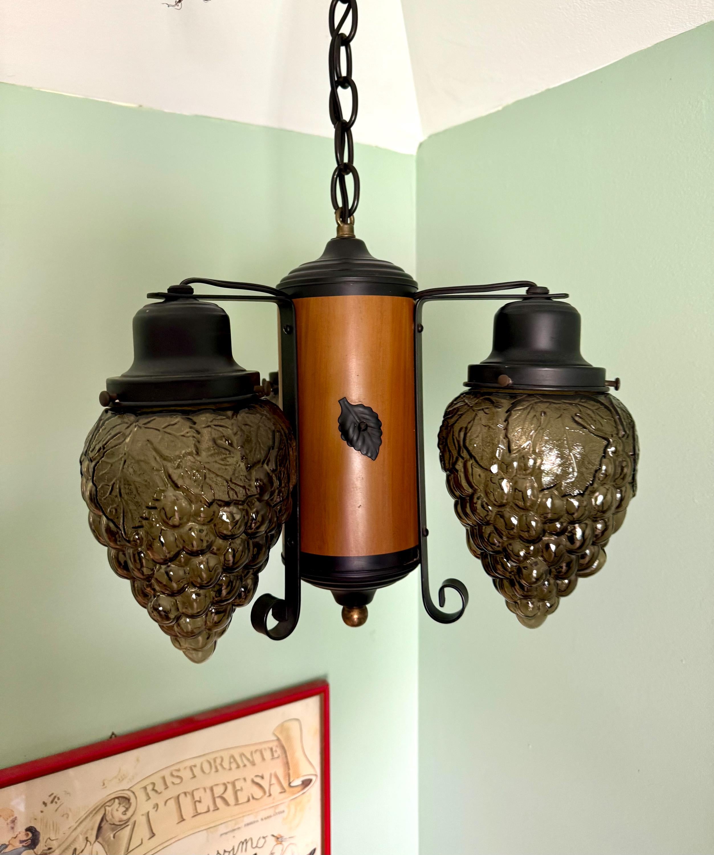 Vintage Grape Cluster Glass Globe Chandelier | 3 Bulb Pendant Lamp | Vineyard Themed Chandelier Lamp | Winery Decor Chandelier Lamp