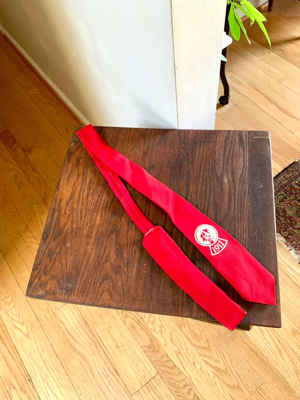 1917 Cornell University Reunion Tie | Red Cornell Jacket Tie | Solid Red Tie | 1917 Cornell University Suit Tie