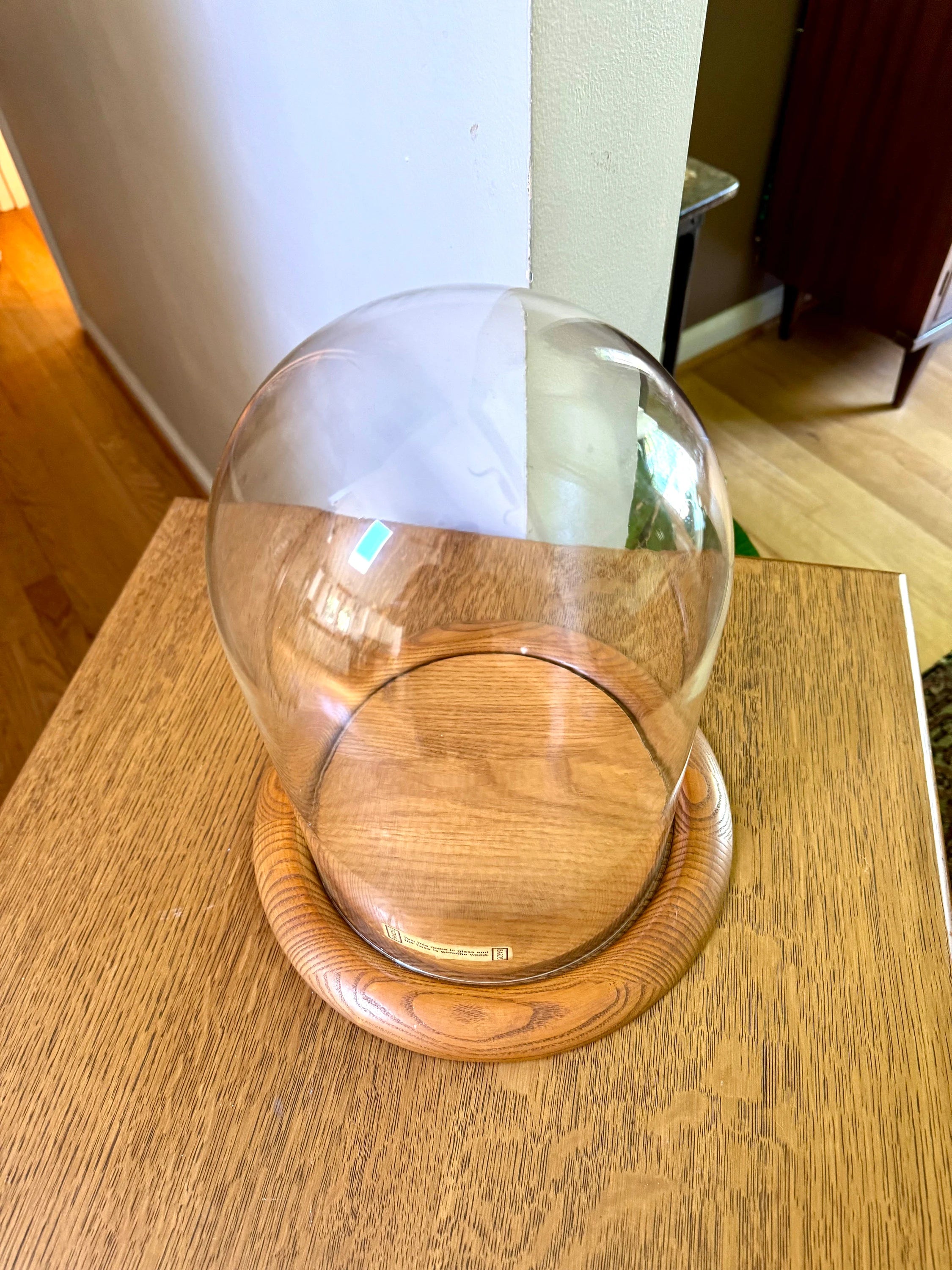 Large Bard's Cloche on Wood Base | Large Glass Display Dome and Base | Bard's Display Dome with Oak Base | 12" x 8" Cloche