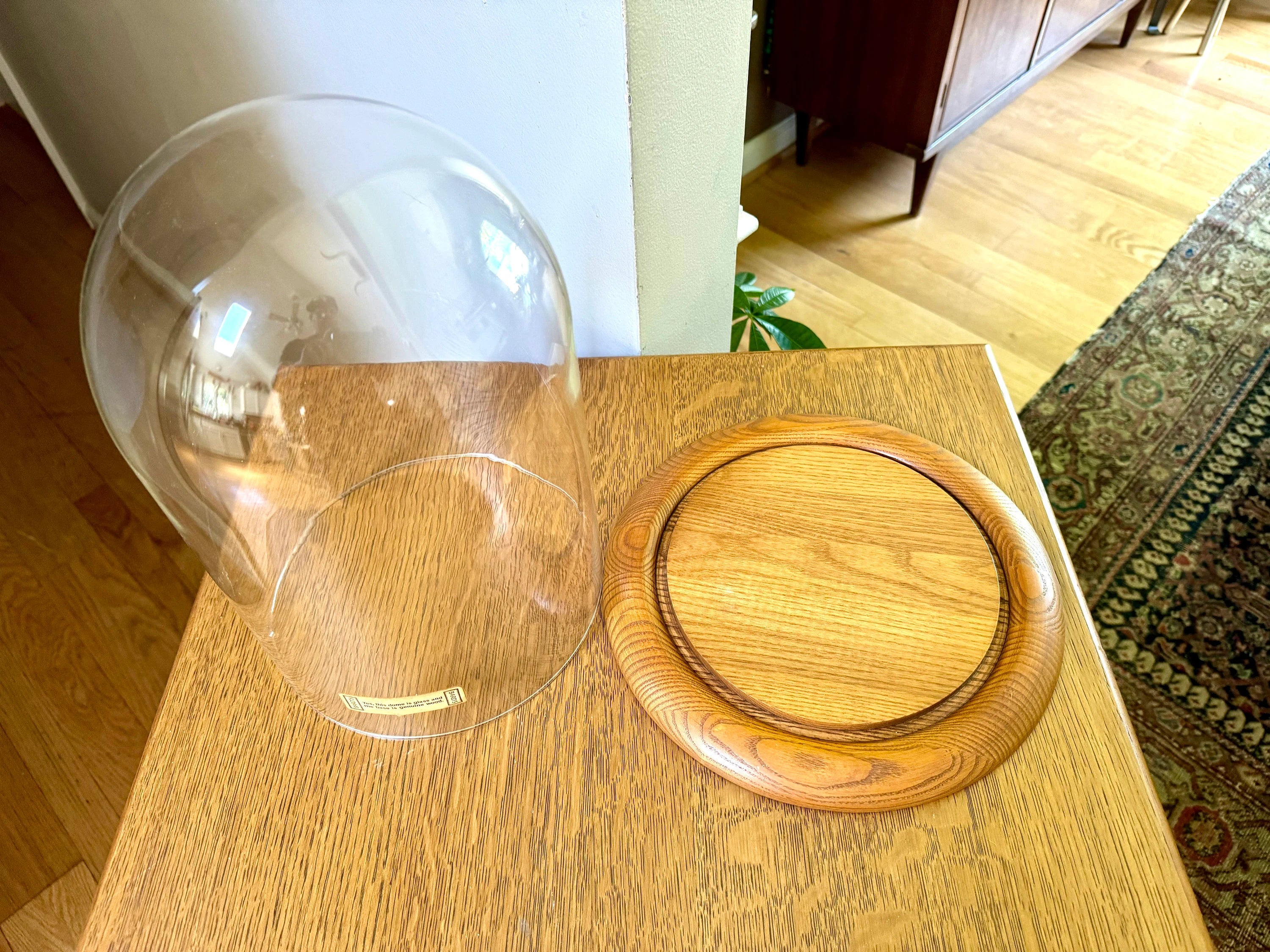 Large Bard's Cloche on Wood Base | Large Glass Display Dome and Base | Bard's Display Dome with Oak Base | 12" x 8" Cloche
