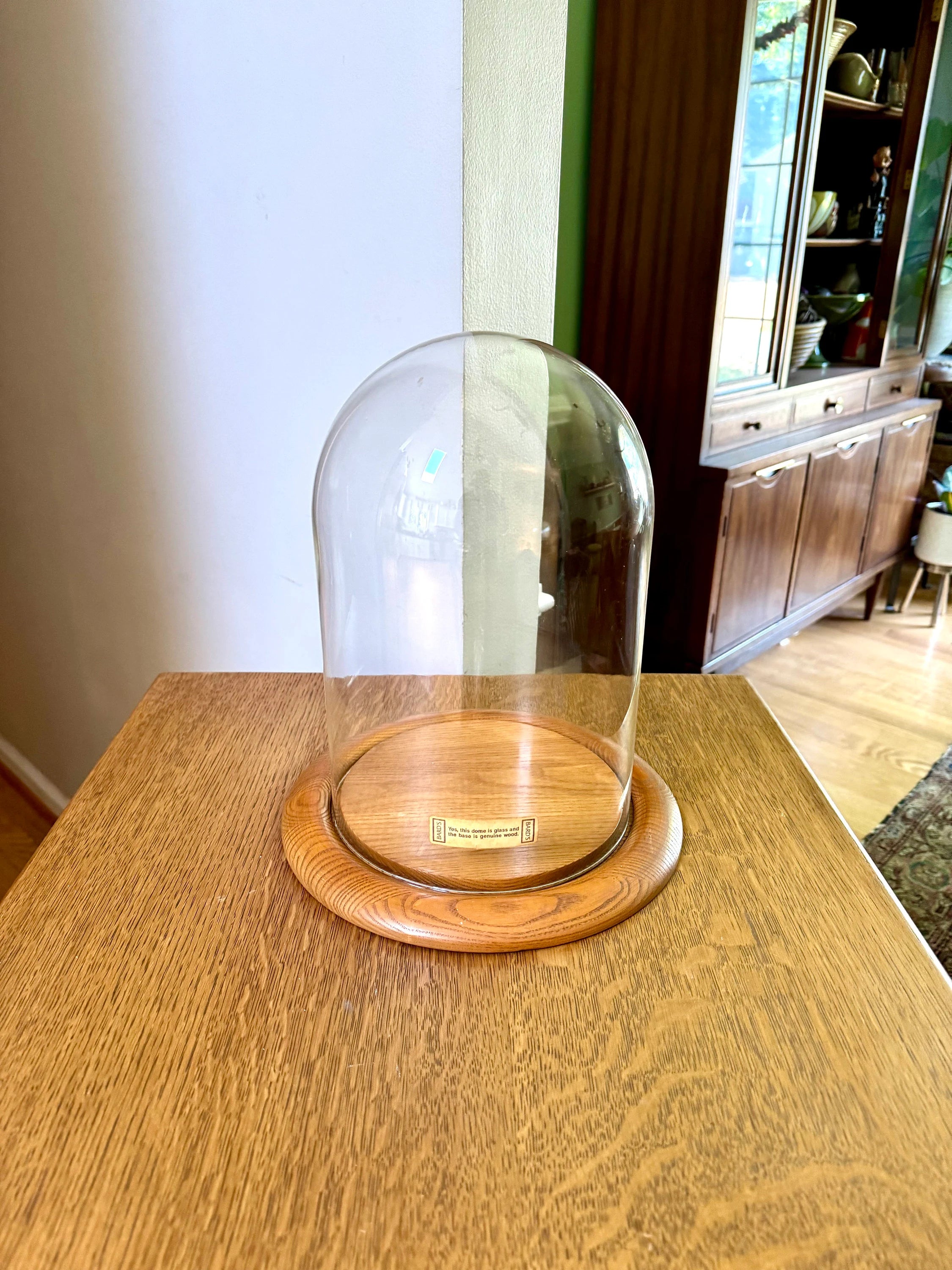 Large Bard's Cloche on Wood Base | Large Glass Display Dome and Base | Bard's Display Dome with Oak Base | 12" x 8" Cloche