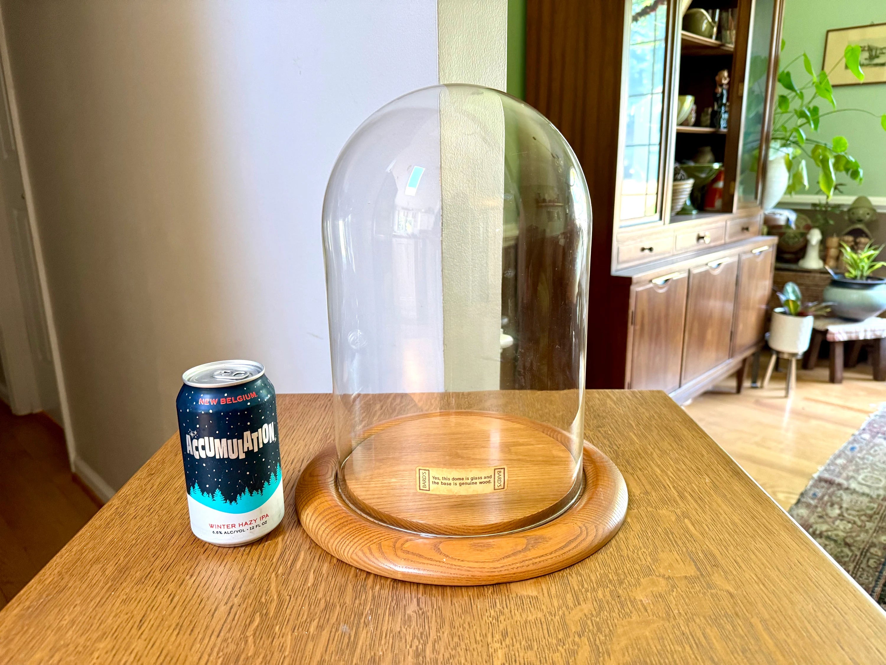 Large Bard's Cloche on Wood Base | Large Glass Display Dome and Base | Bard's Display Dome with Oak Base | 12" x 8" Cloche