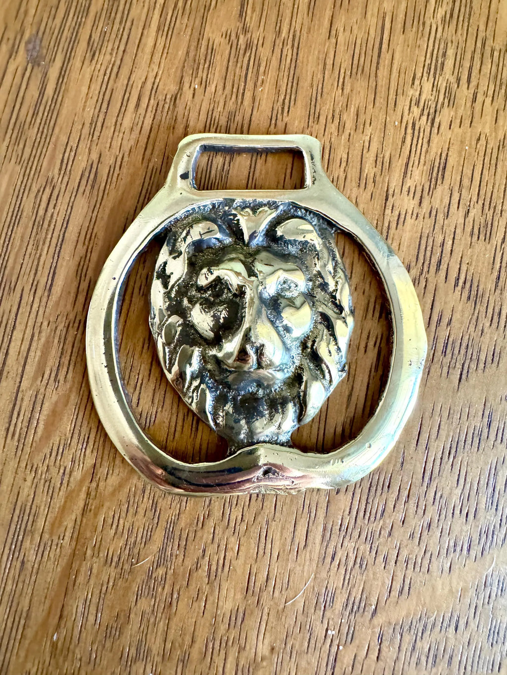 Vtg Solid Brass Lion's Head Horse Harness Medallion | Lions Head Medallion | Horse Harness Decoration | Lion Decor | Horse Decor Metal